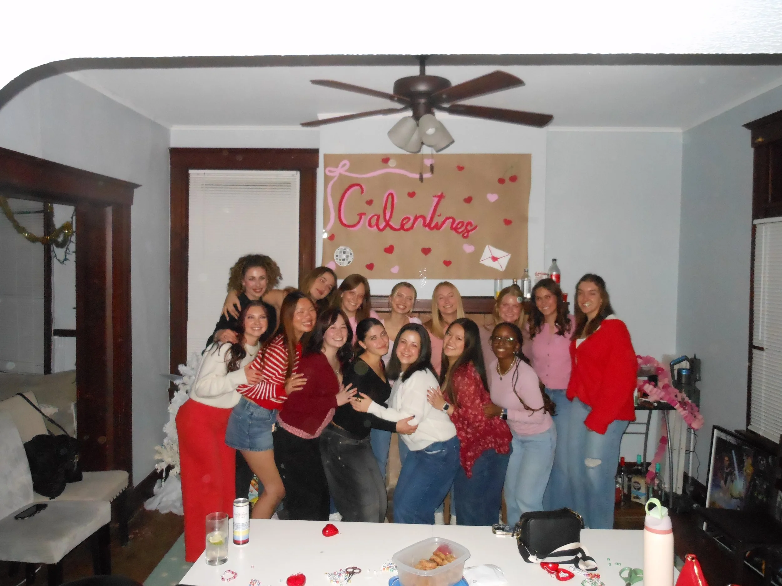 Custom Holiday Banner (Galentine_s) Image 1.jpg