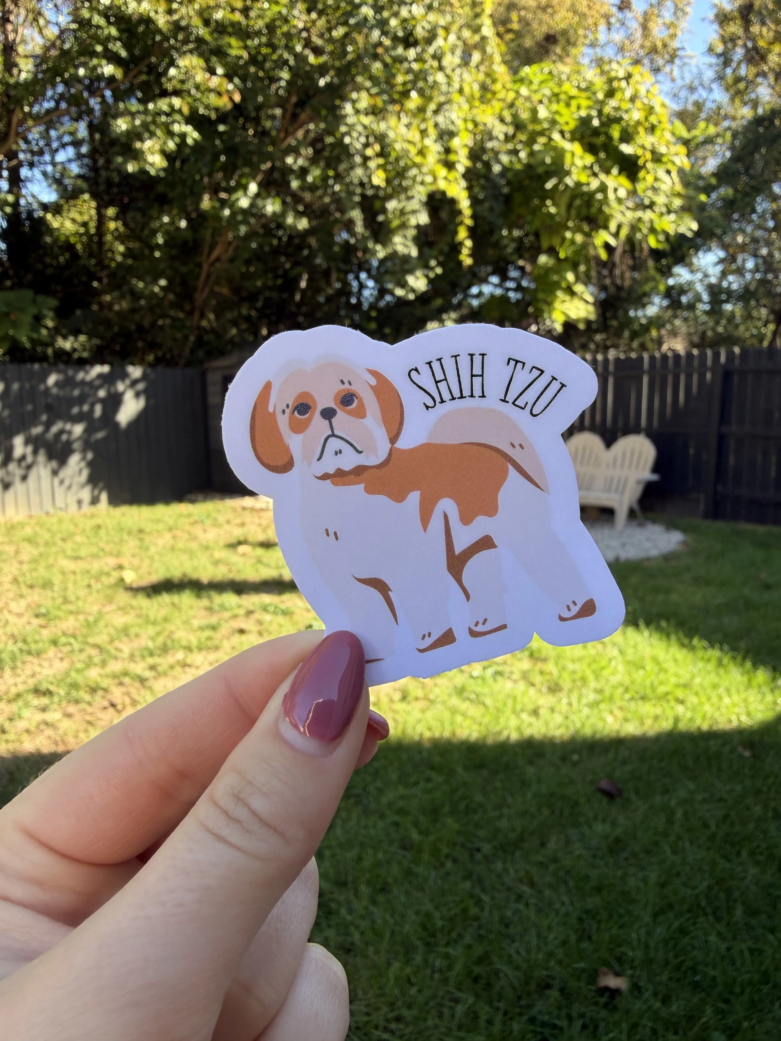shih_tzu.jpg