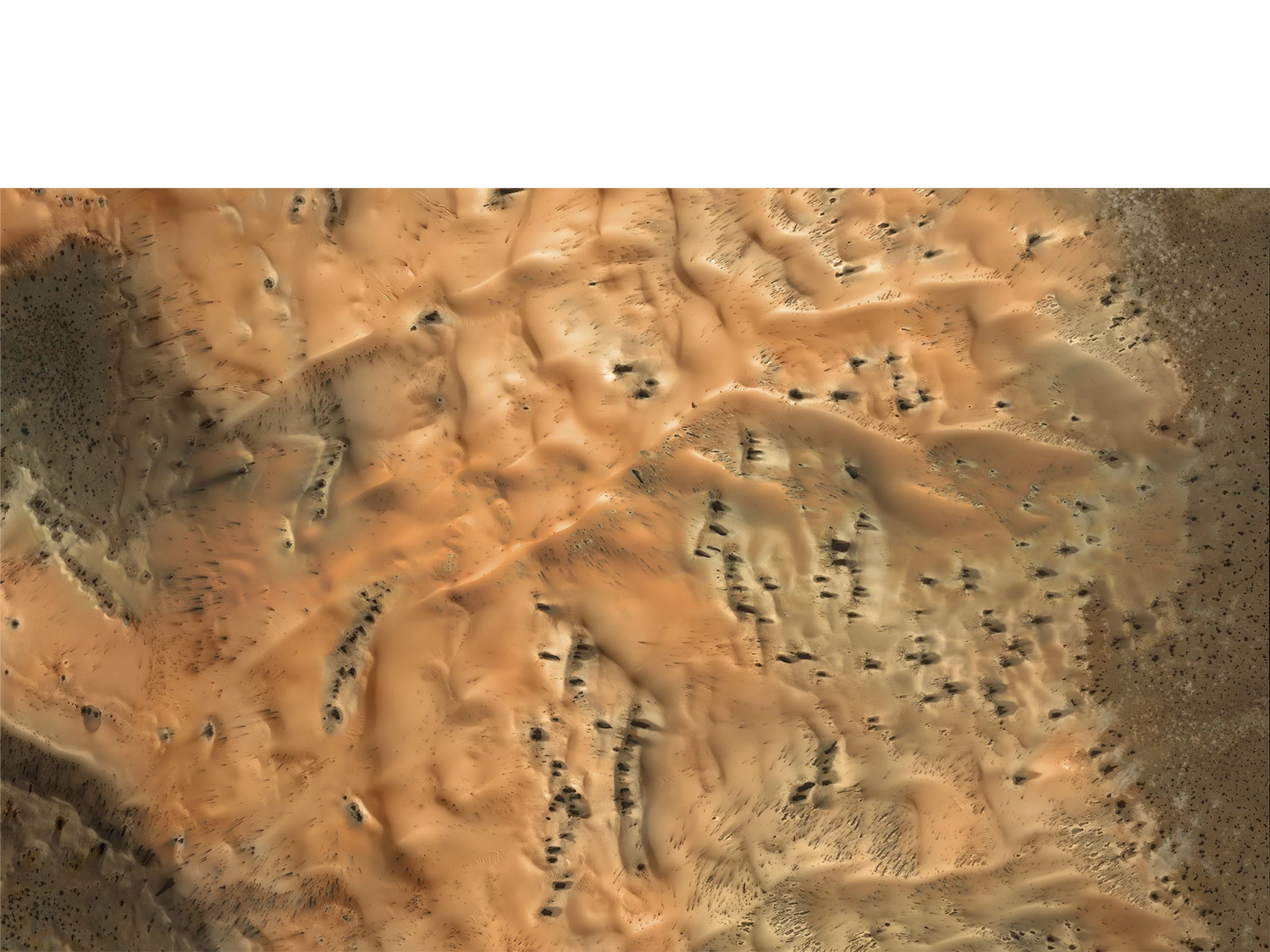 SPRING SUBLIMATION IN SOUTHERN DUNES 