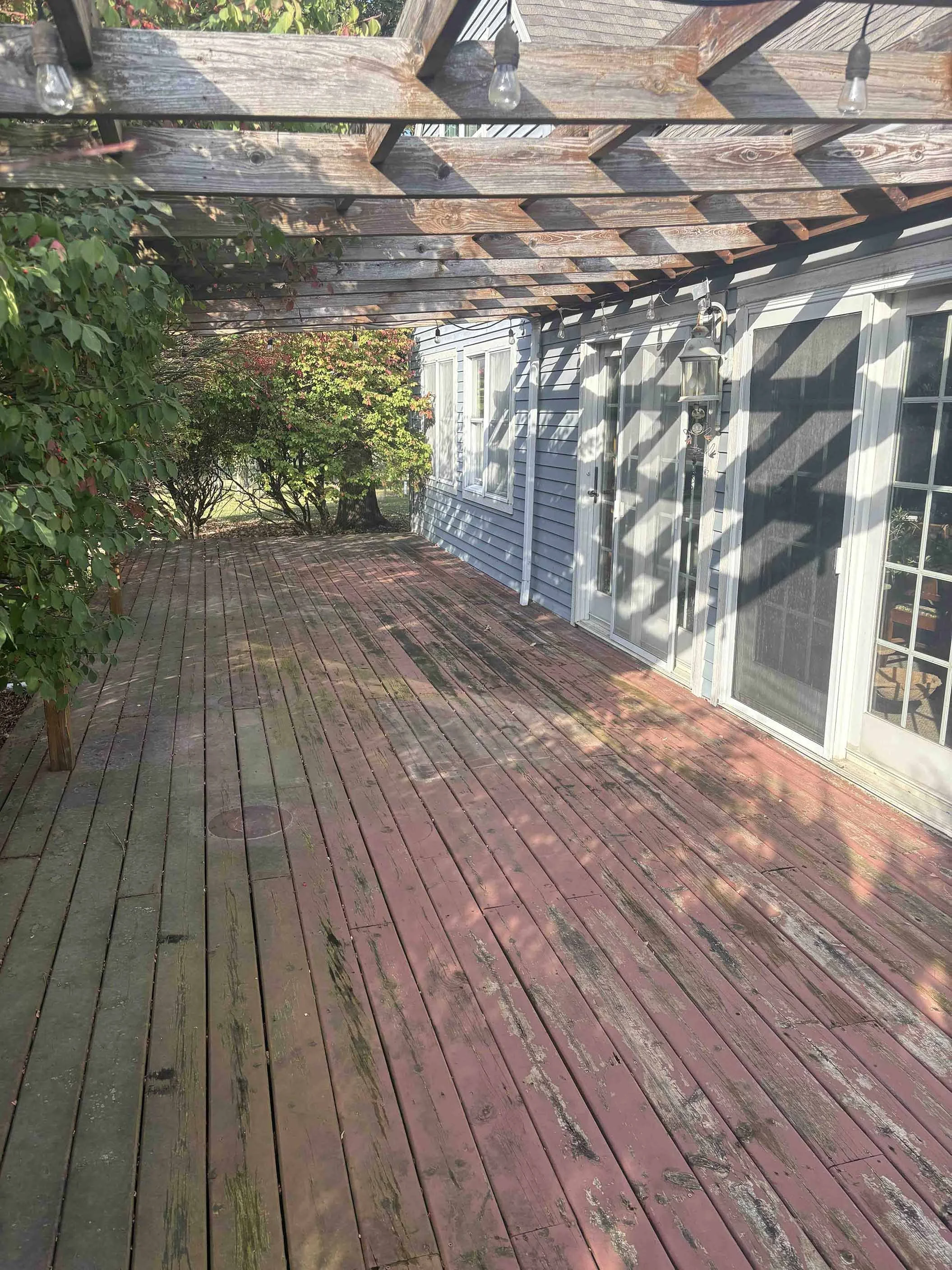A backyard patio with stained wooden flooring and a wooden pergola overhead, adorned with string lights. There is a bush with pink flowers on the left and blue house siding with white-framed windows and a door on the right. Shadows from the pergola create a pattern on the ground.