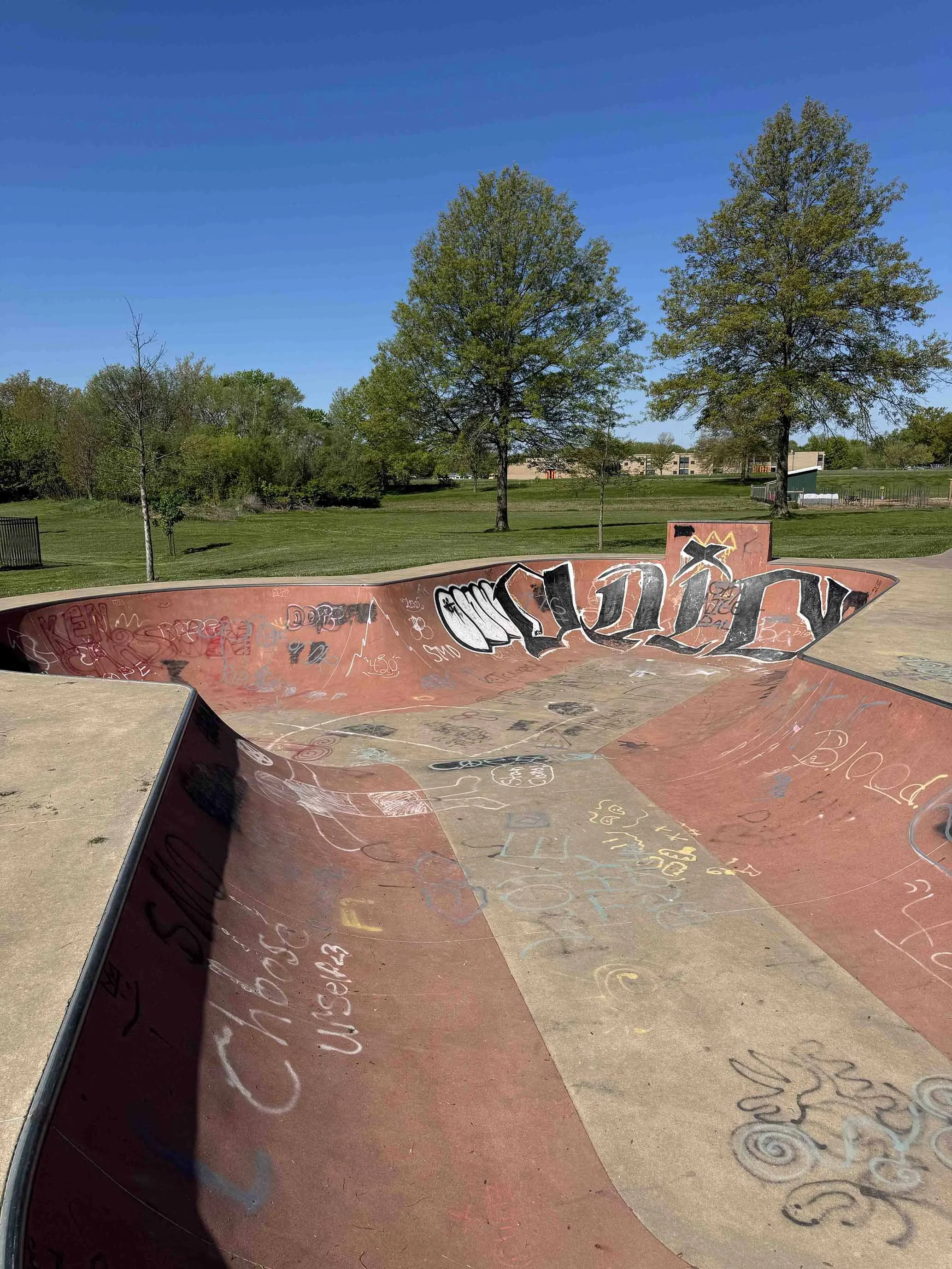 Empty skate park with graffiti on the ramps and ledges, surrounded by trees and a clear blue sky.