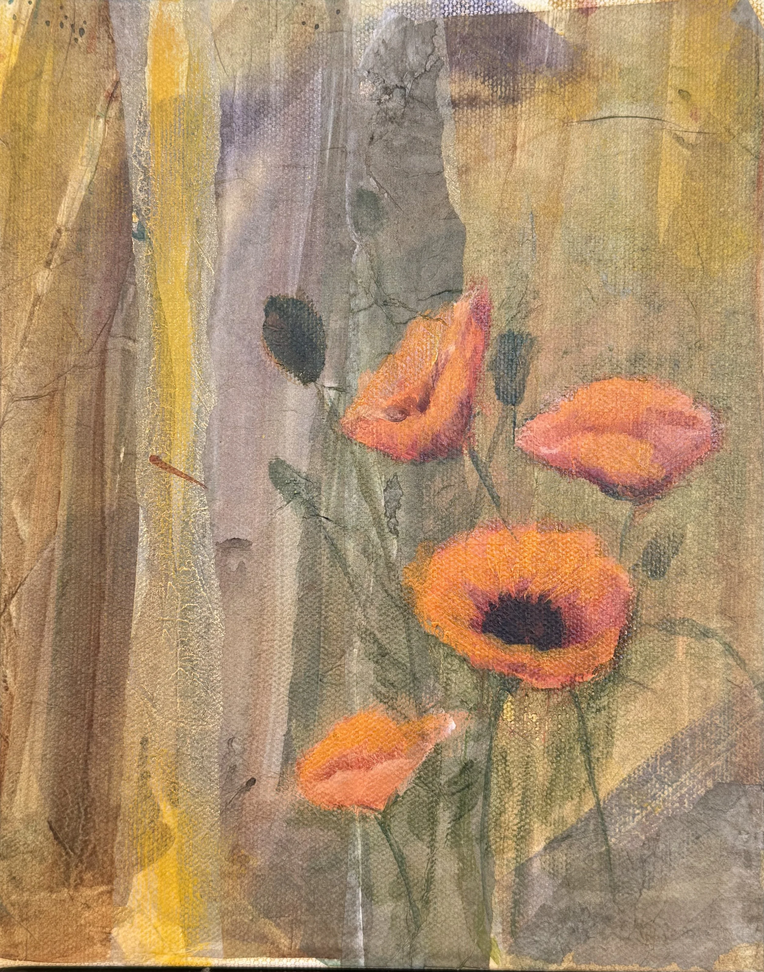Poppies 1