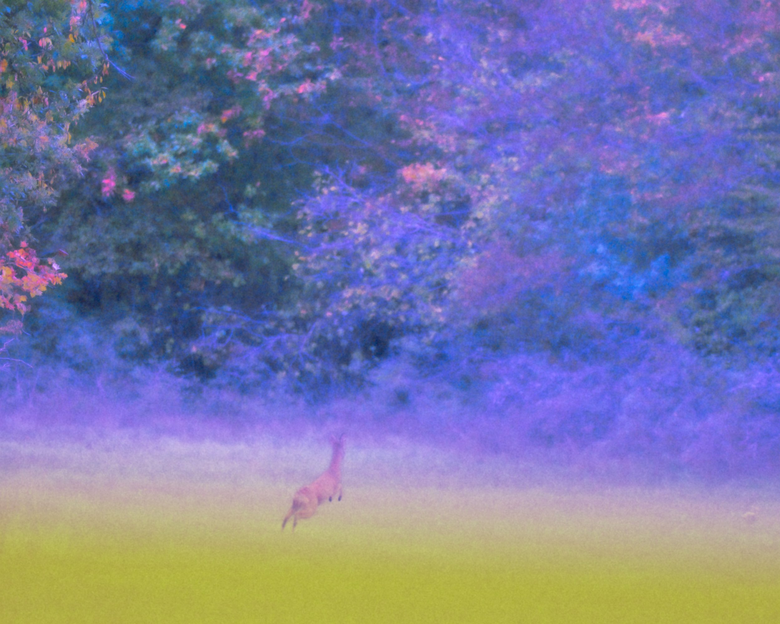 DSCF6039.jpg