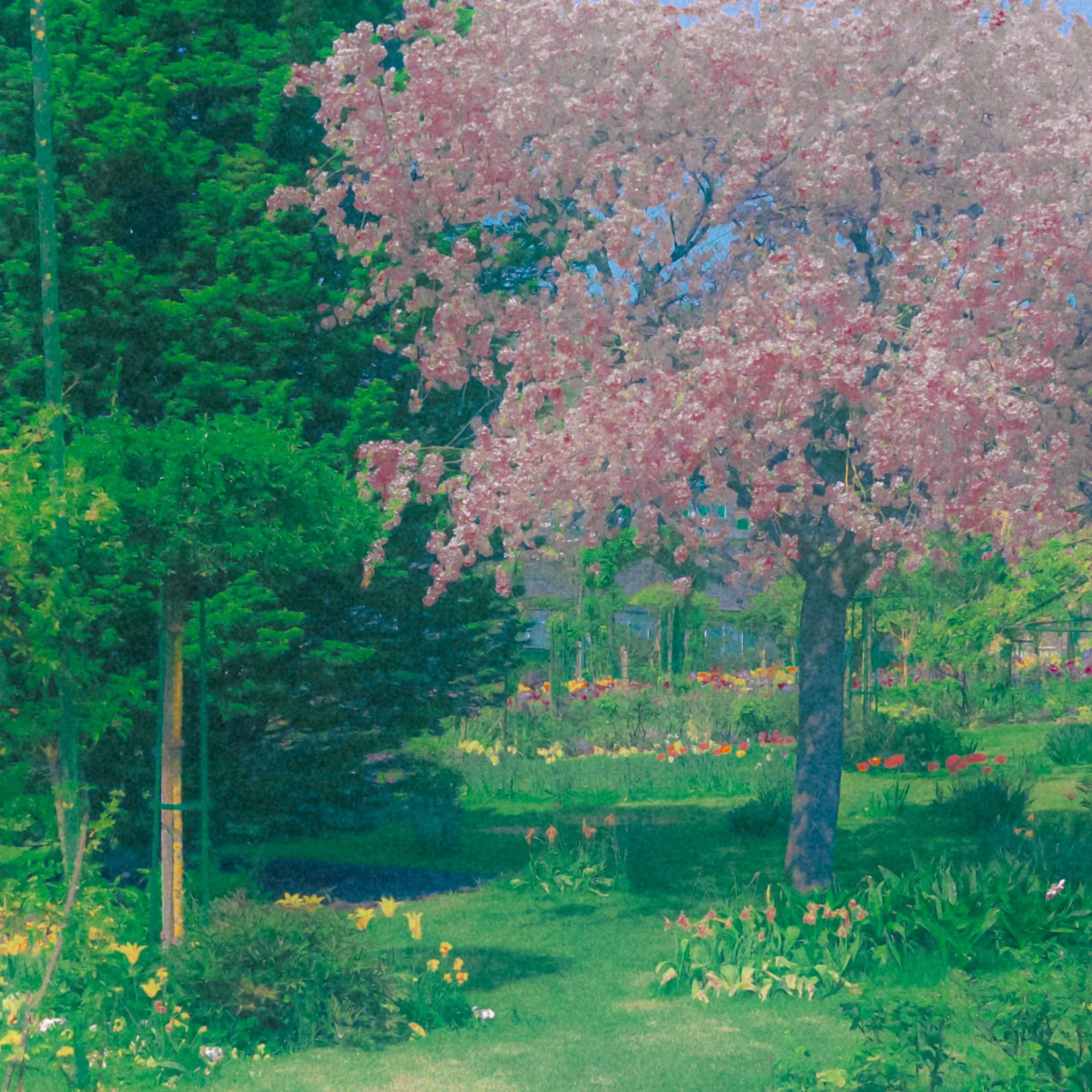 DSCF2253.jpg