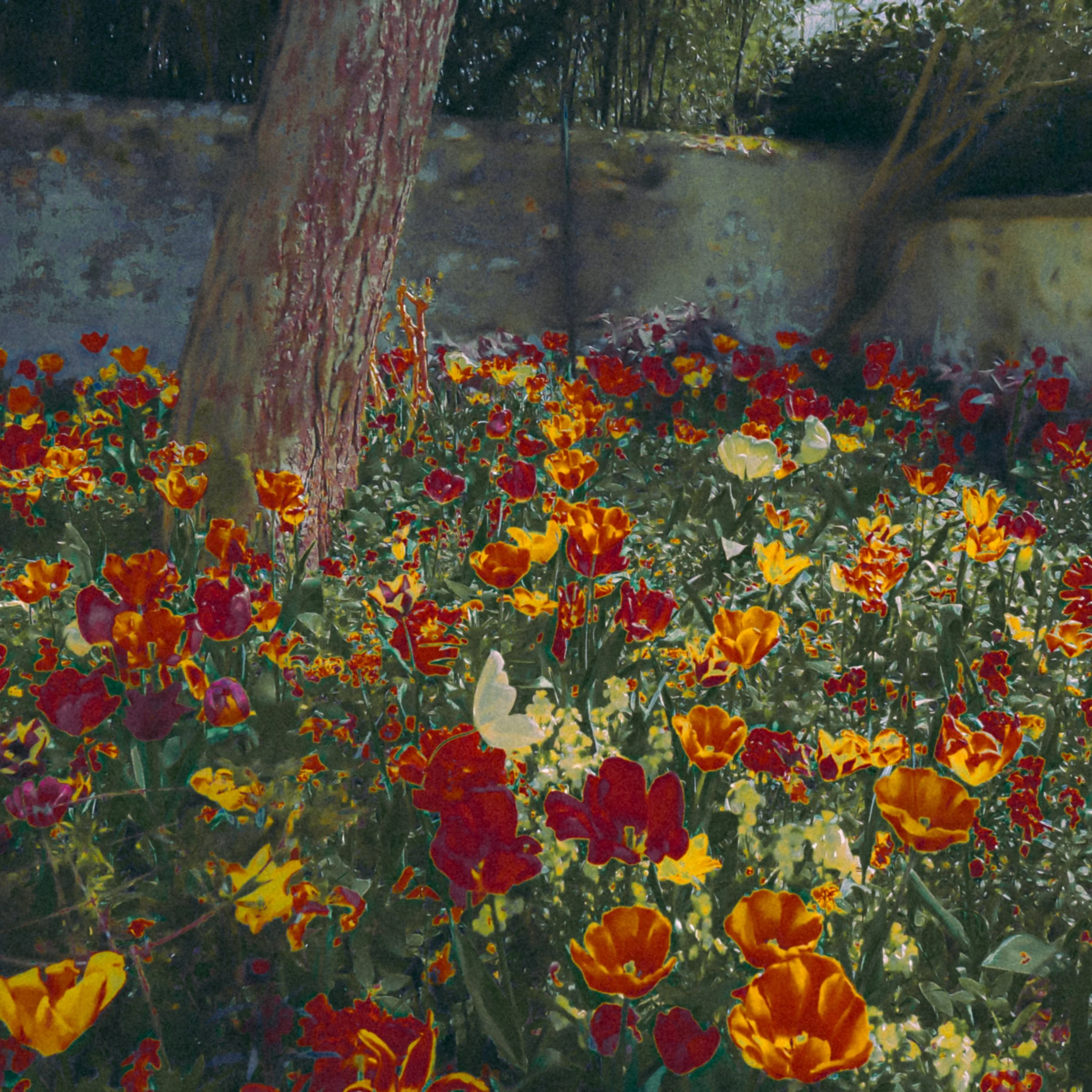 DSCF2254.jpg