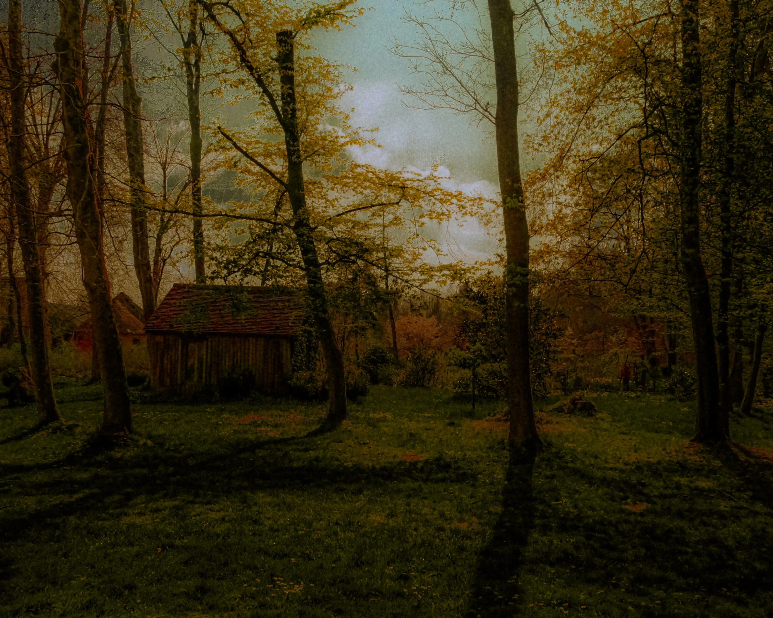 DSCF1994.jpg