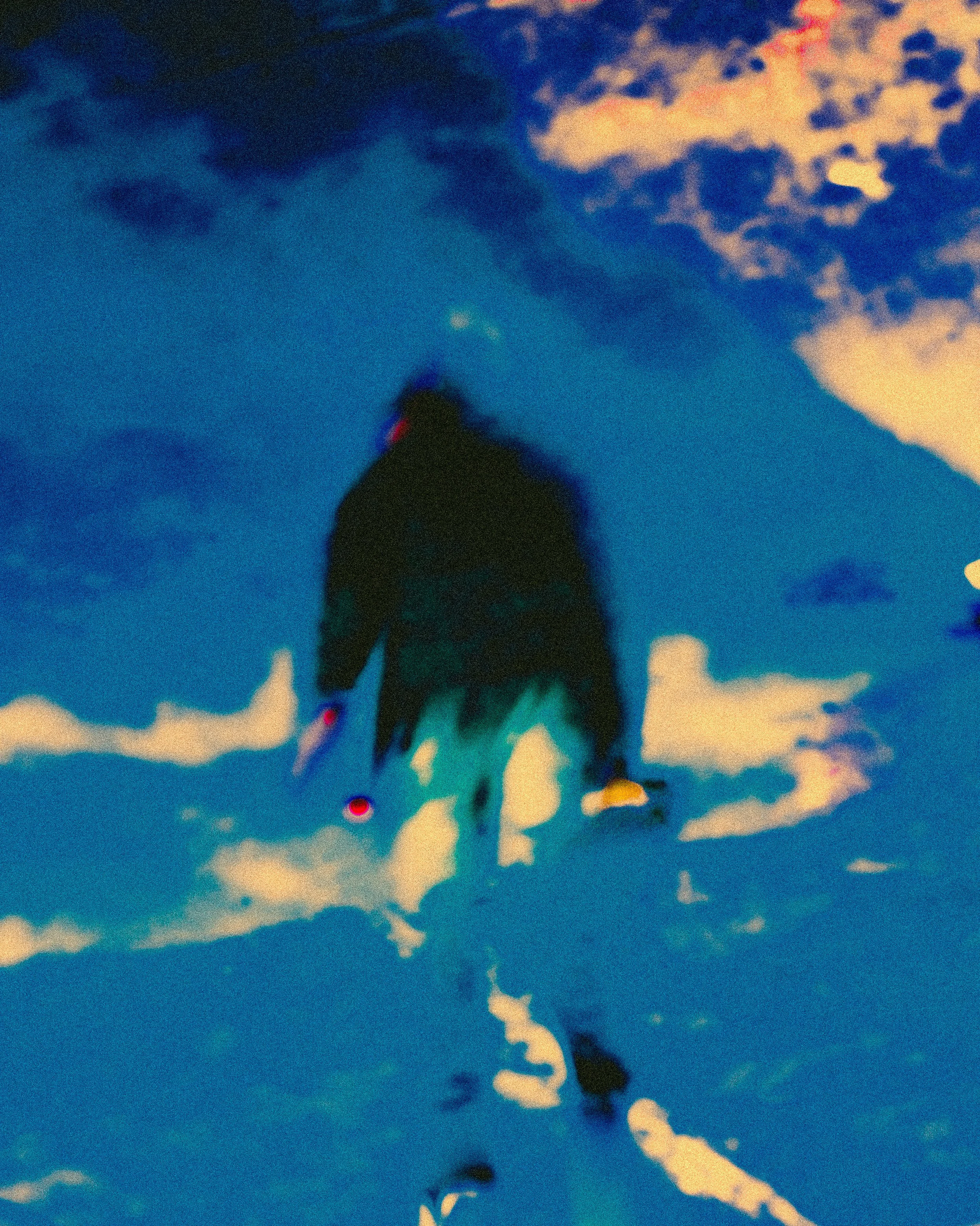 DSCF9239.jpg