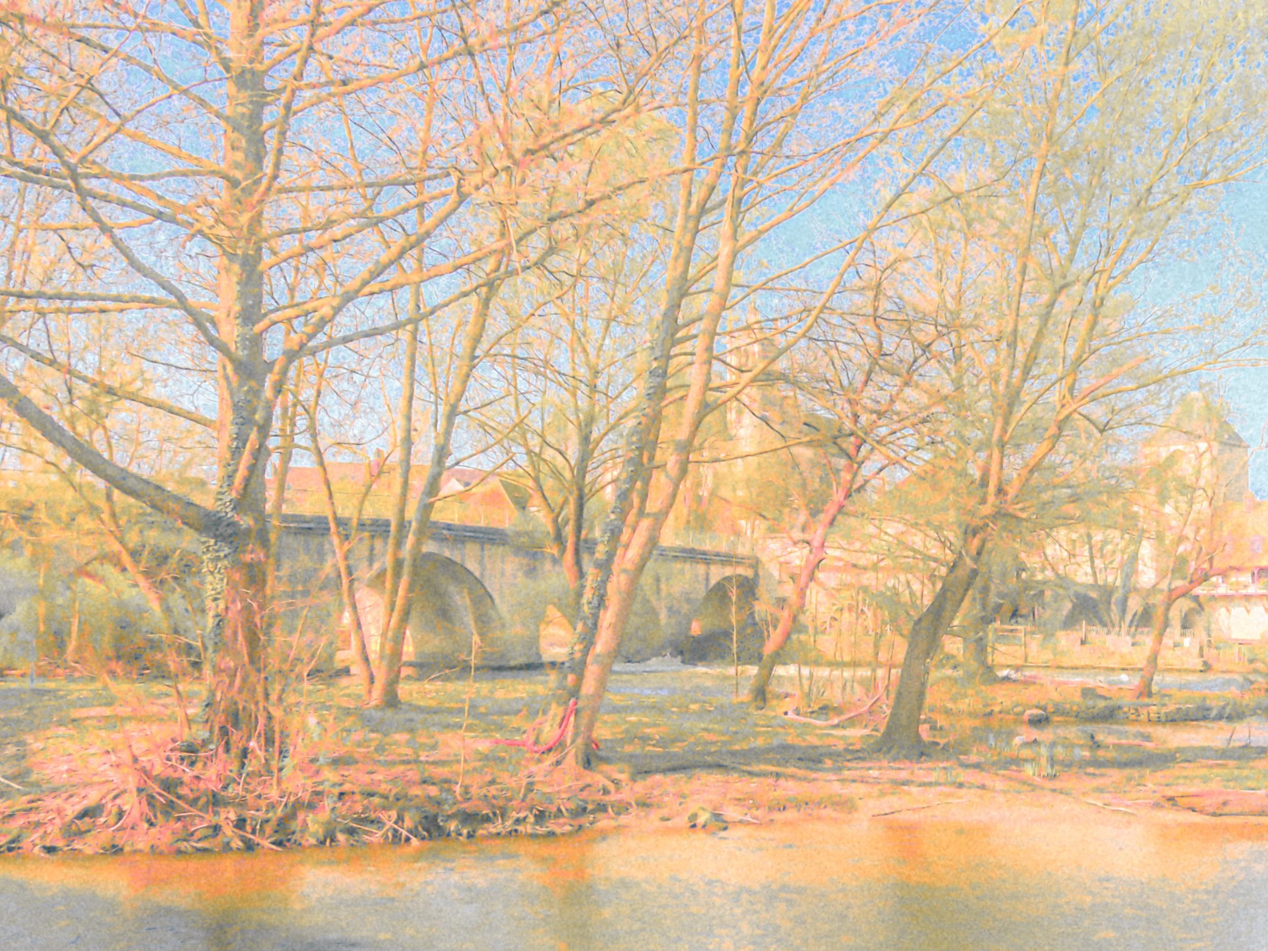 DSCF1956-2.jpg