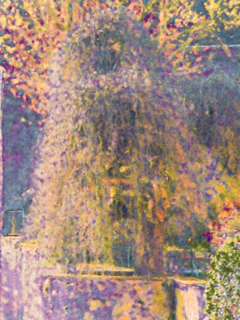 DSCF1950.jpg