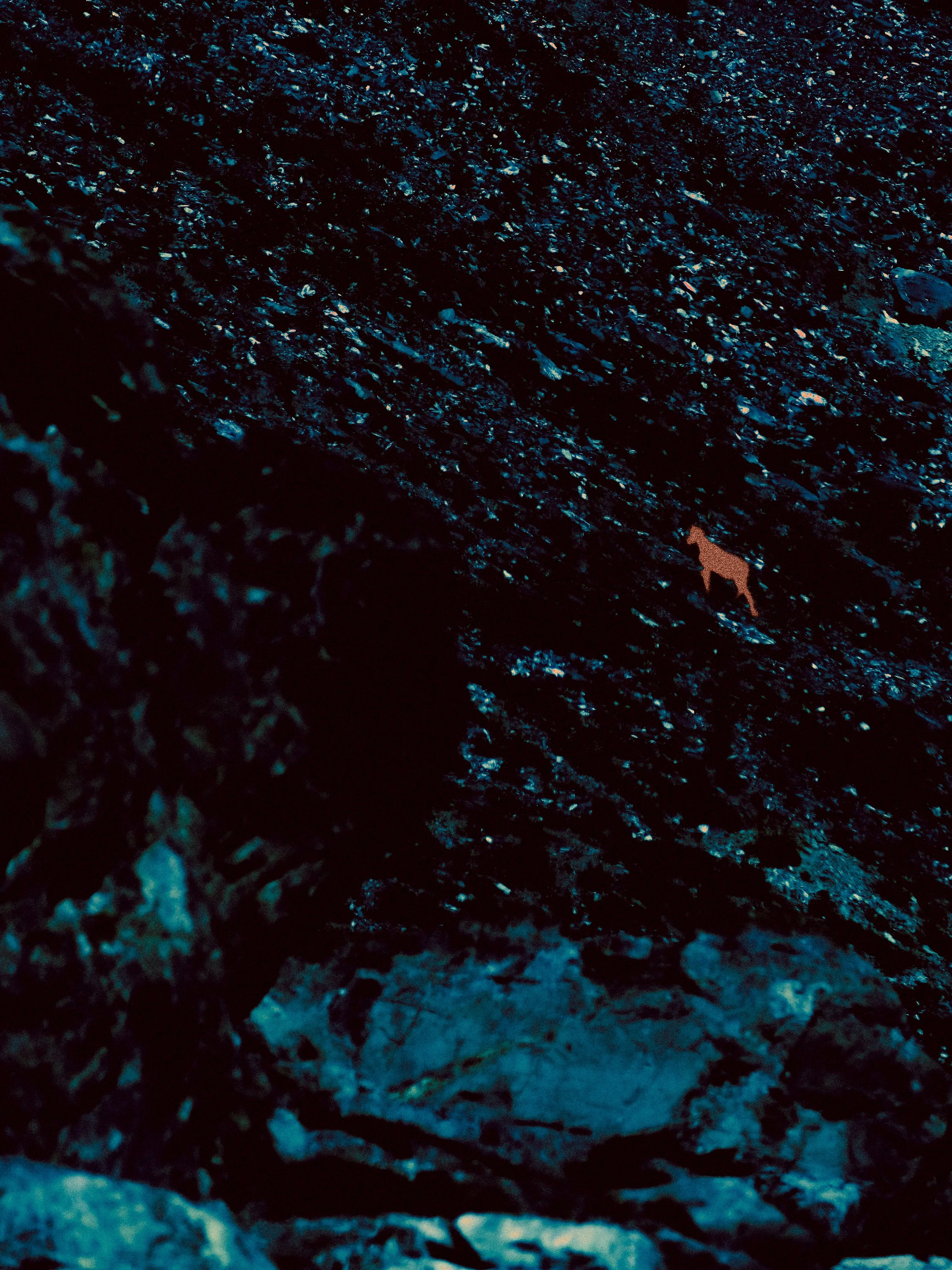 DSCF4637.jpg