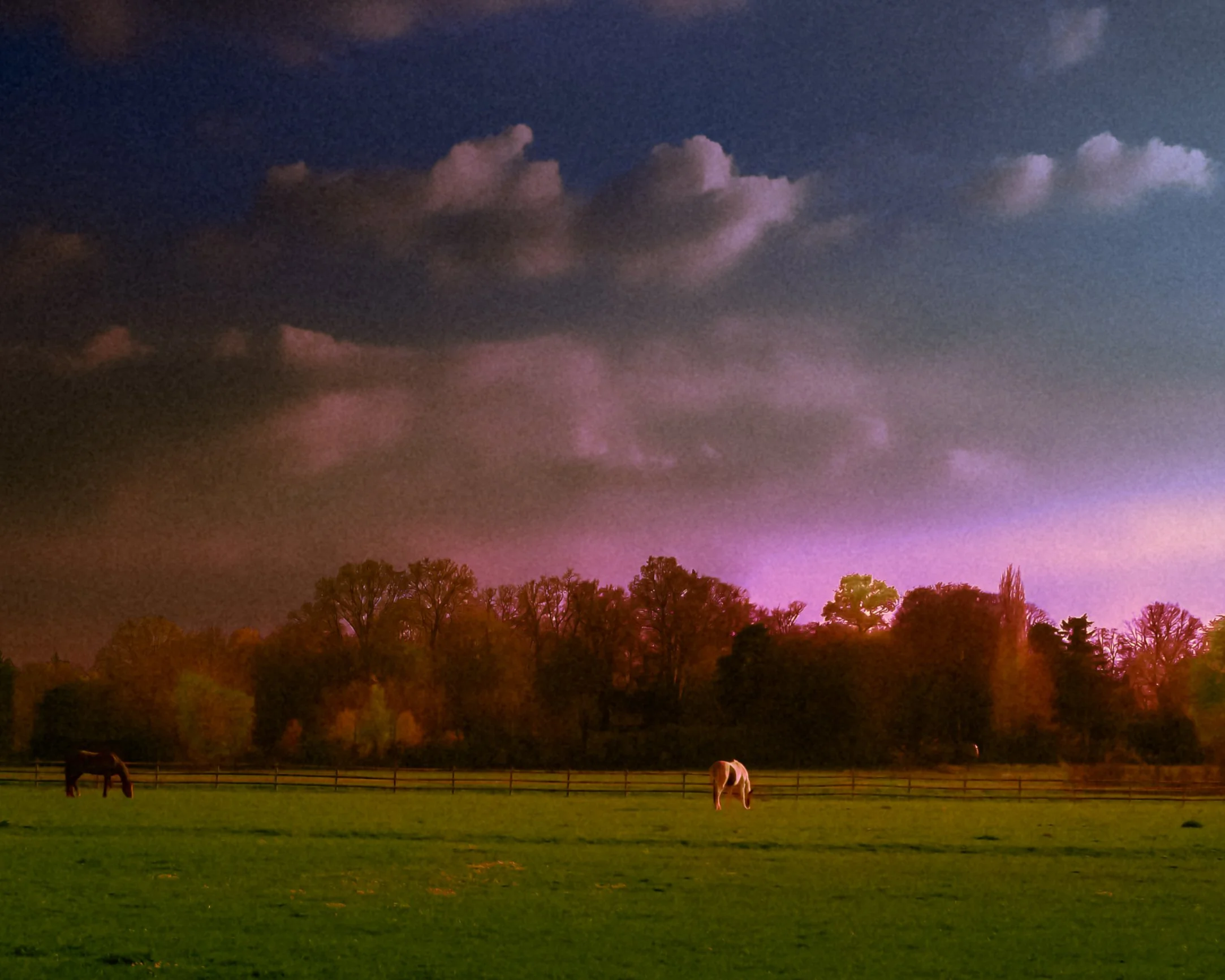 DSCF2045.jpg