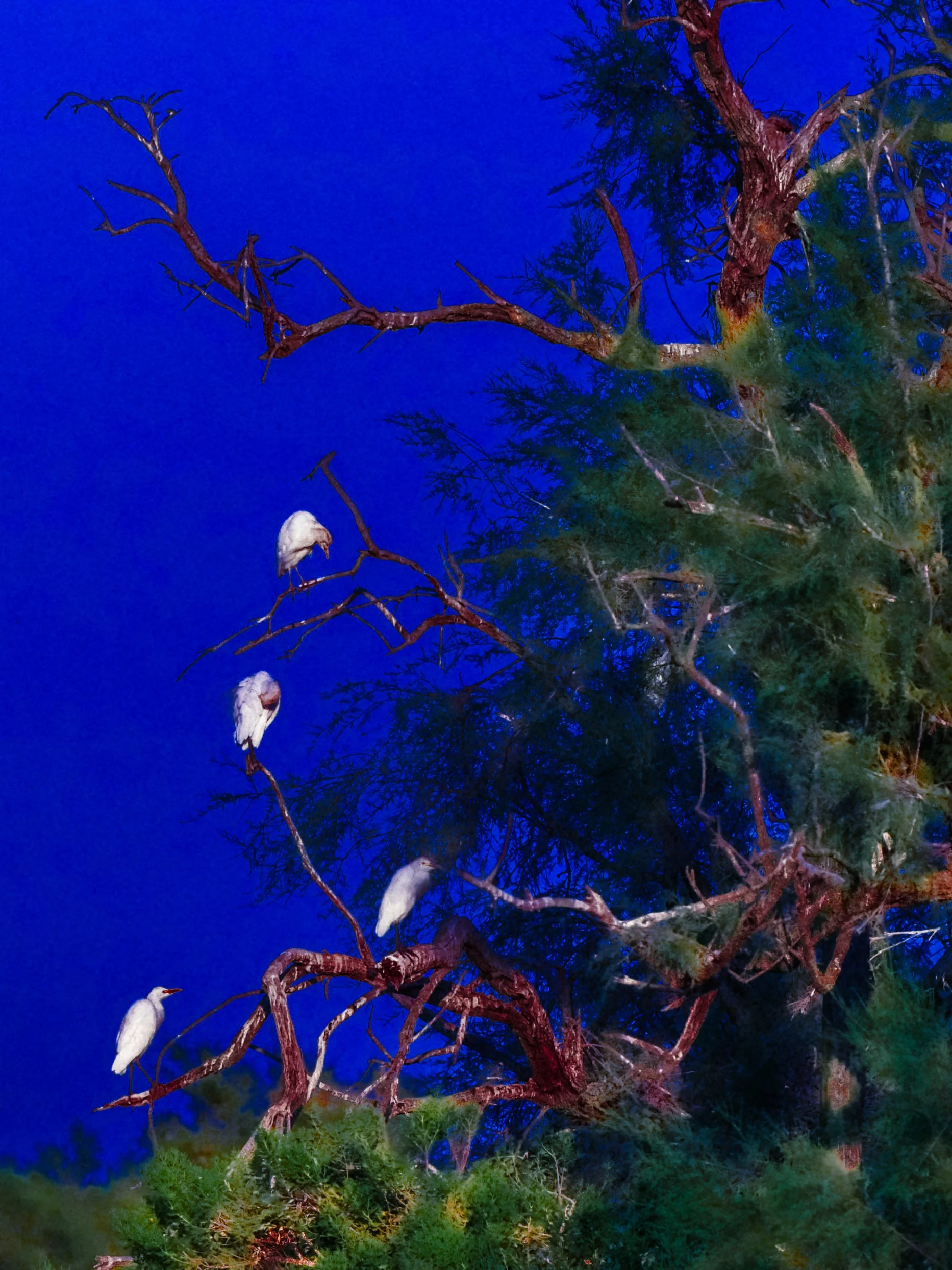 DSCF4966.jpg