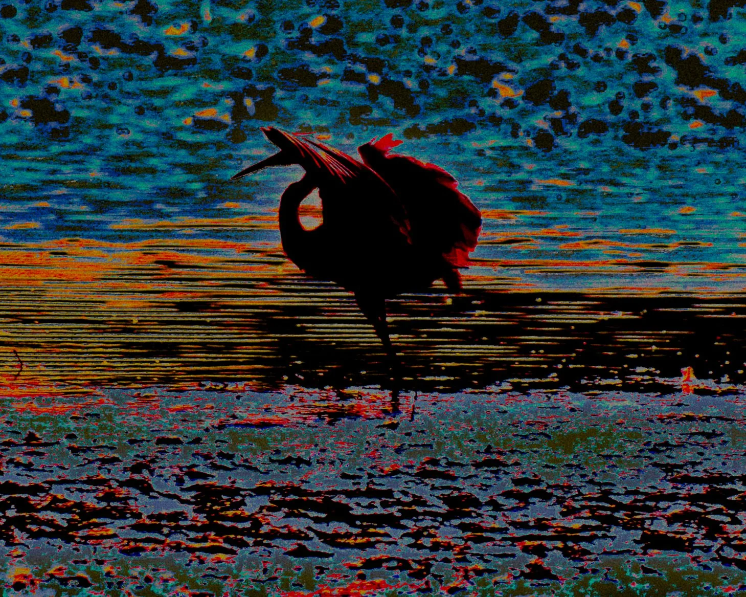 DSCF4844.jpg