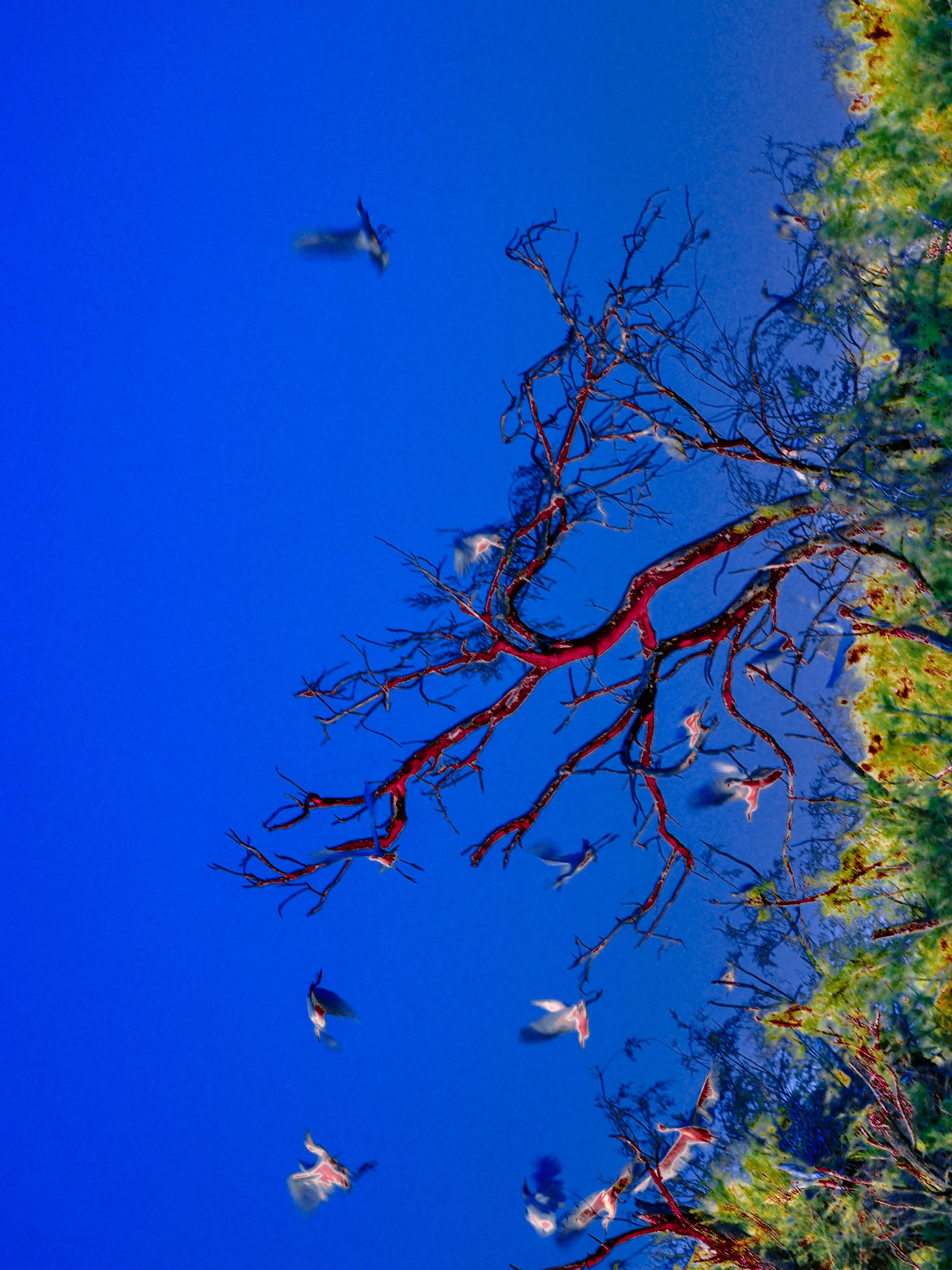 DSCF4992.jpg