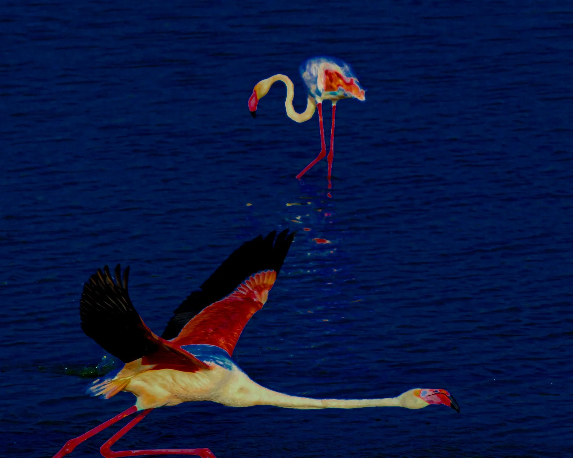 DSCF4909.jpg