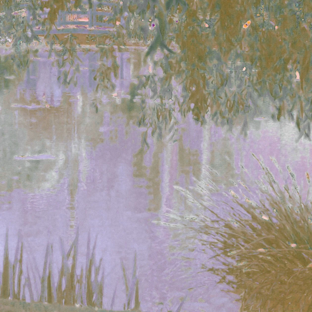 DSCF2378.jpg