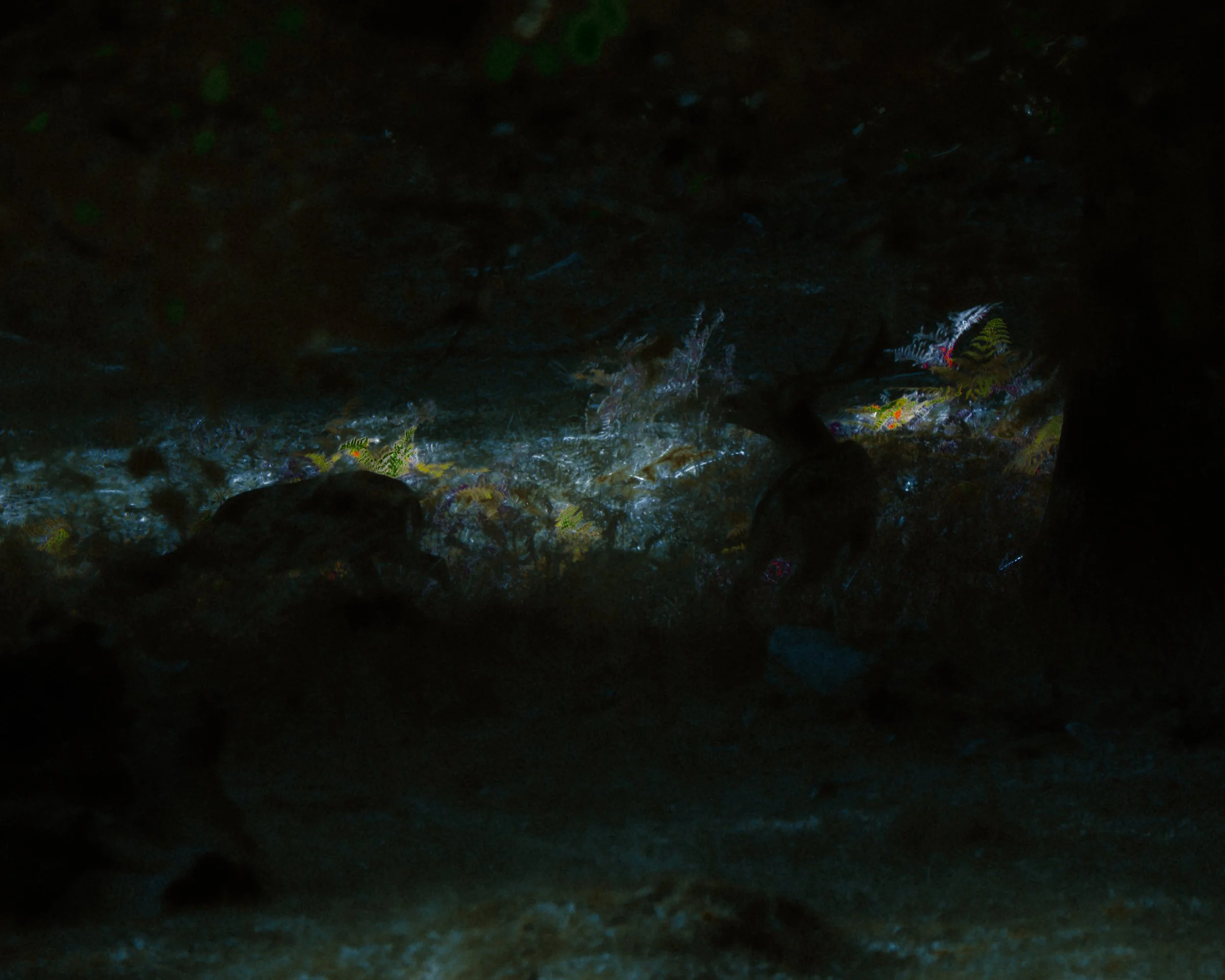 DSCF6179.jpg