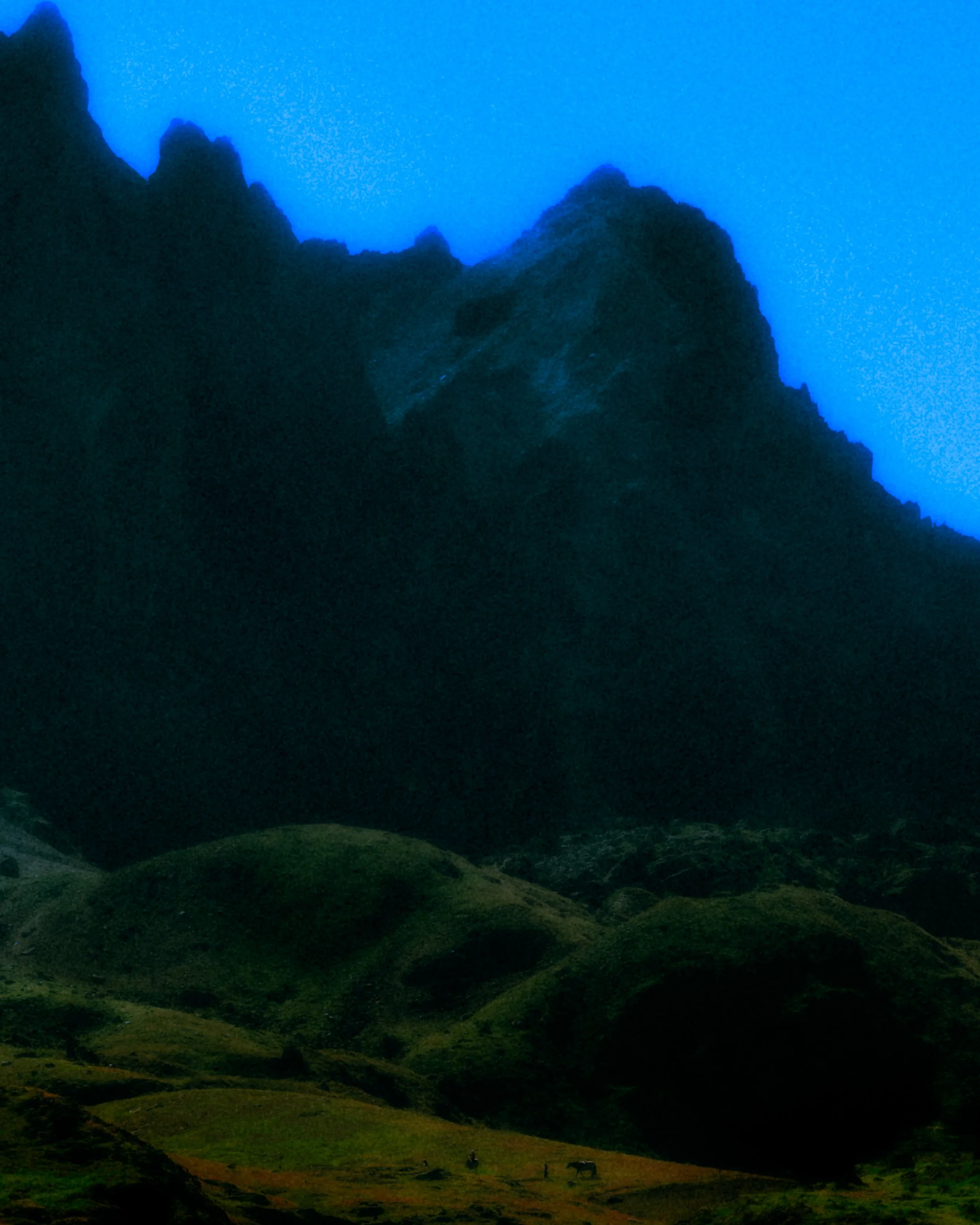 DSCF4535-2.jpg