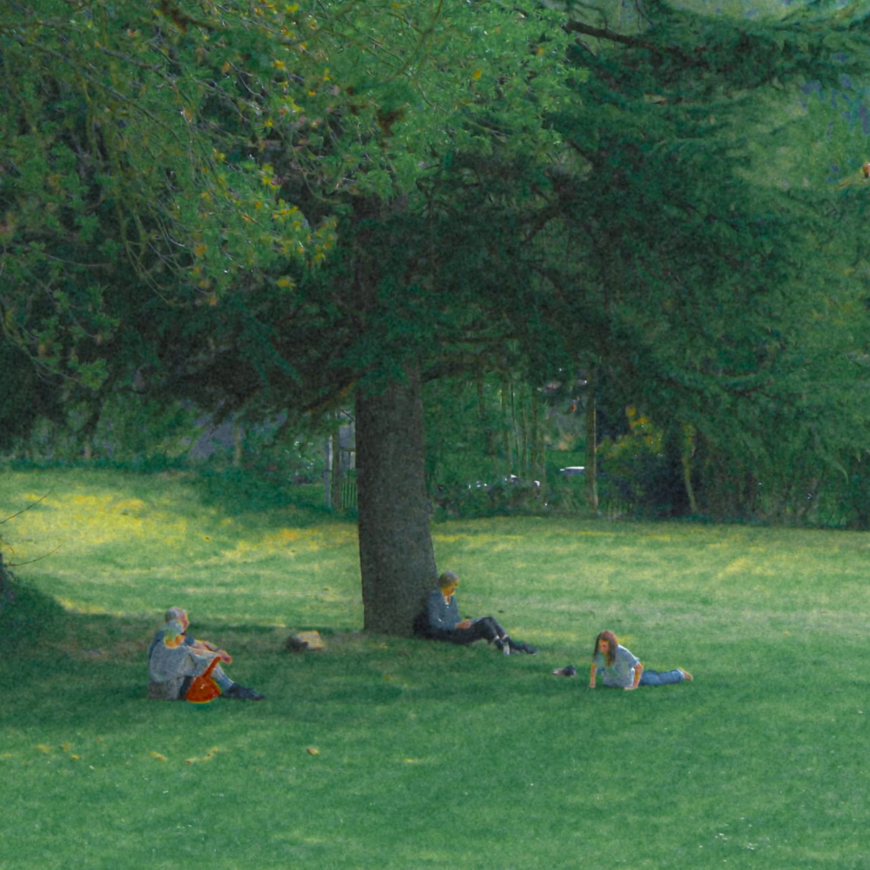 DSCF2351.jpg