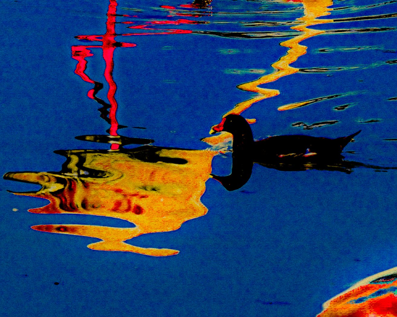 DSCF5128.jpg