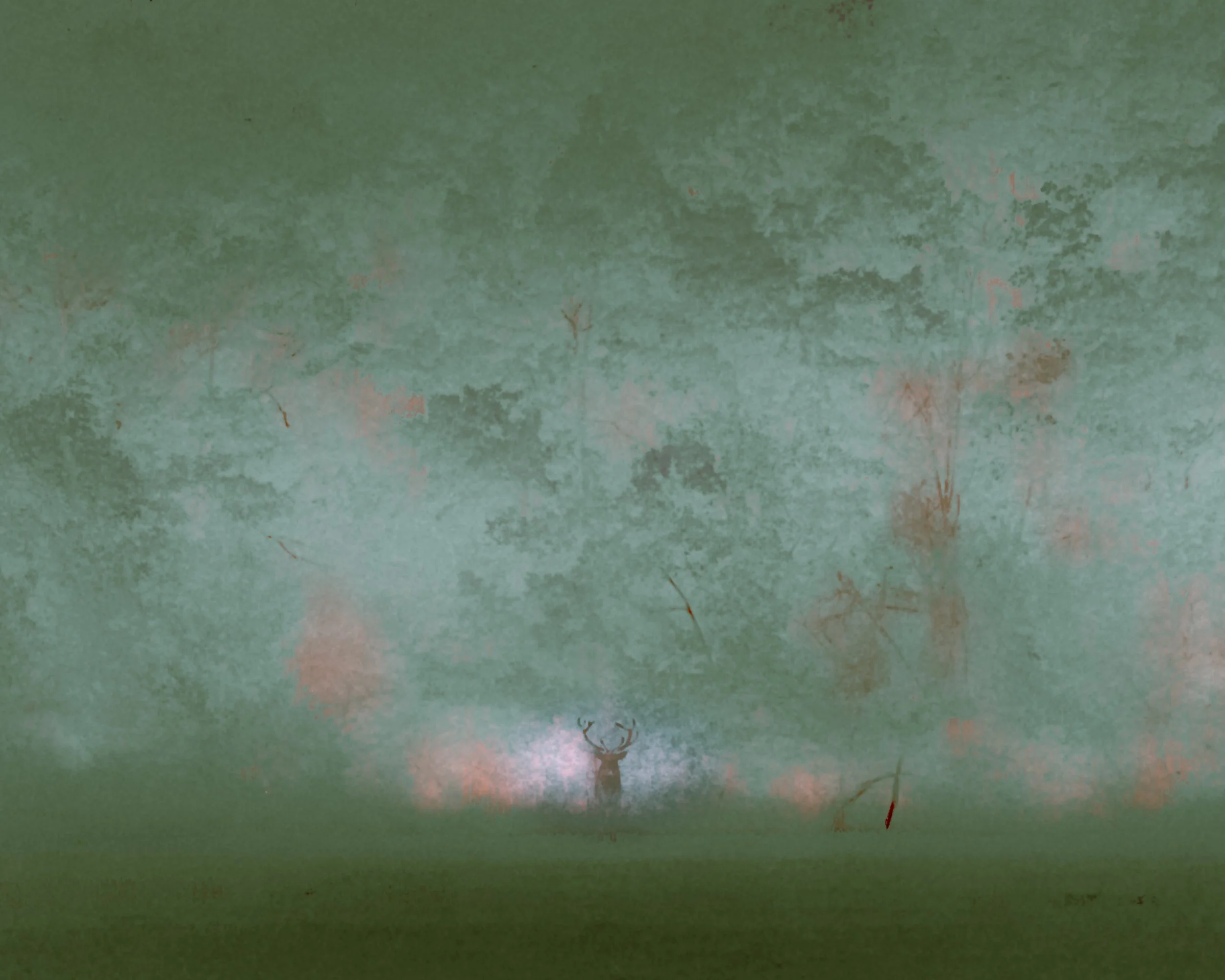 DSCF6373.jpg