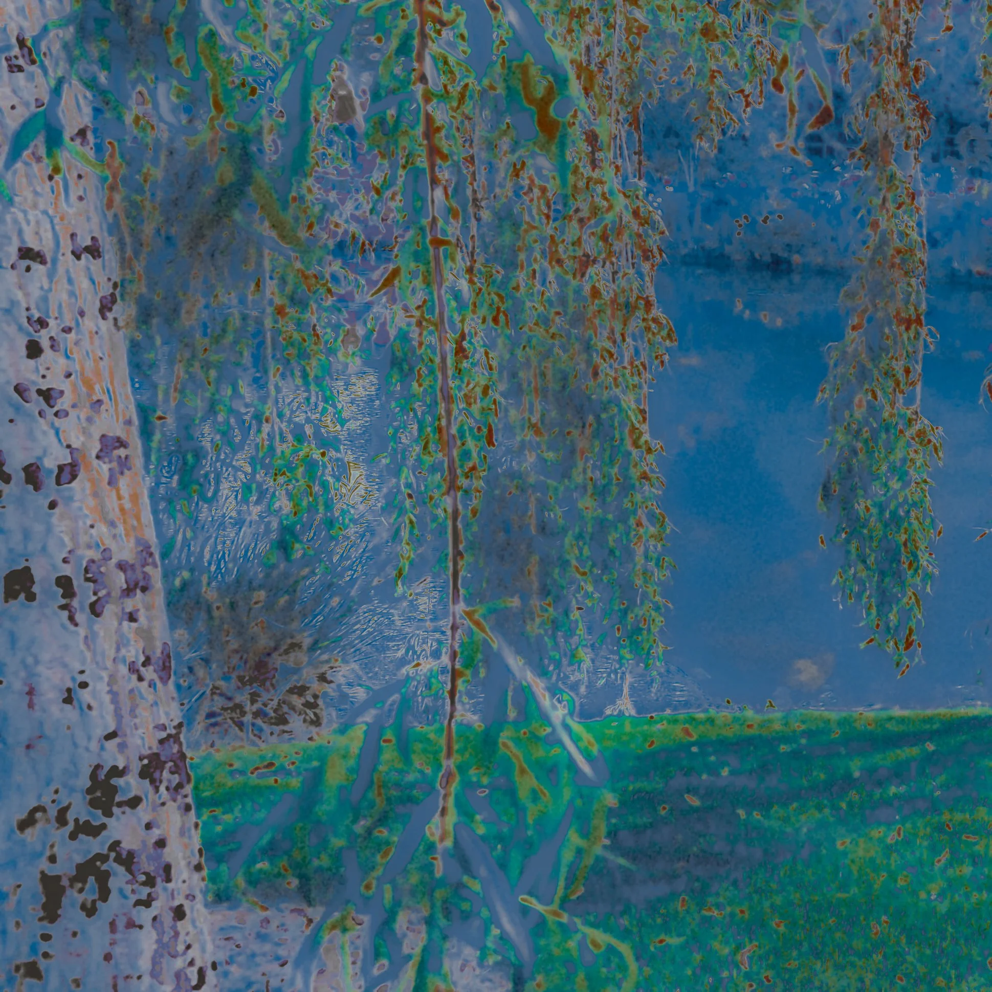 DSCF2409.jpg