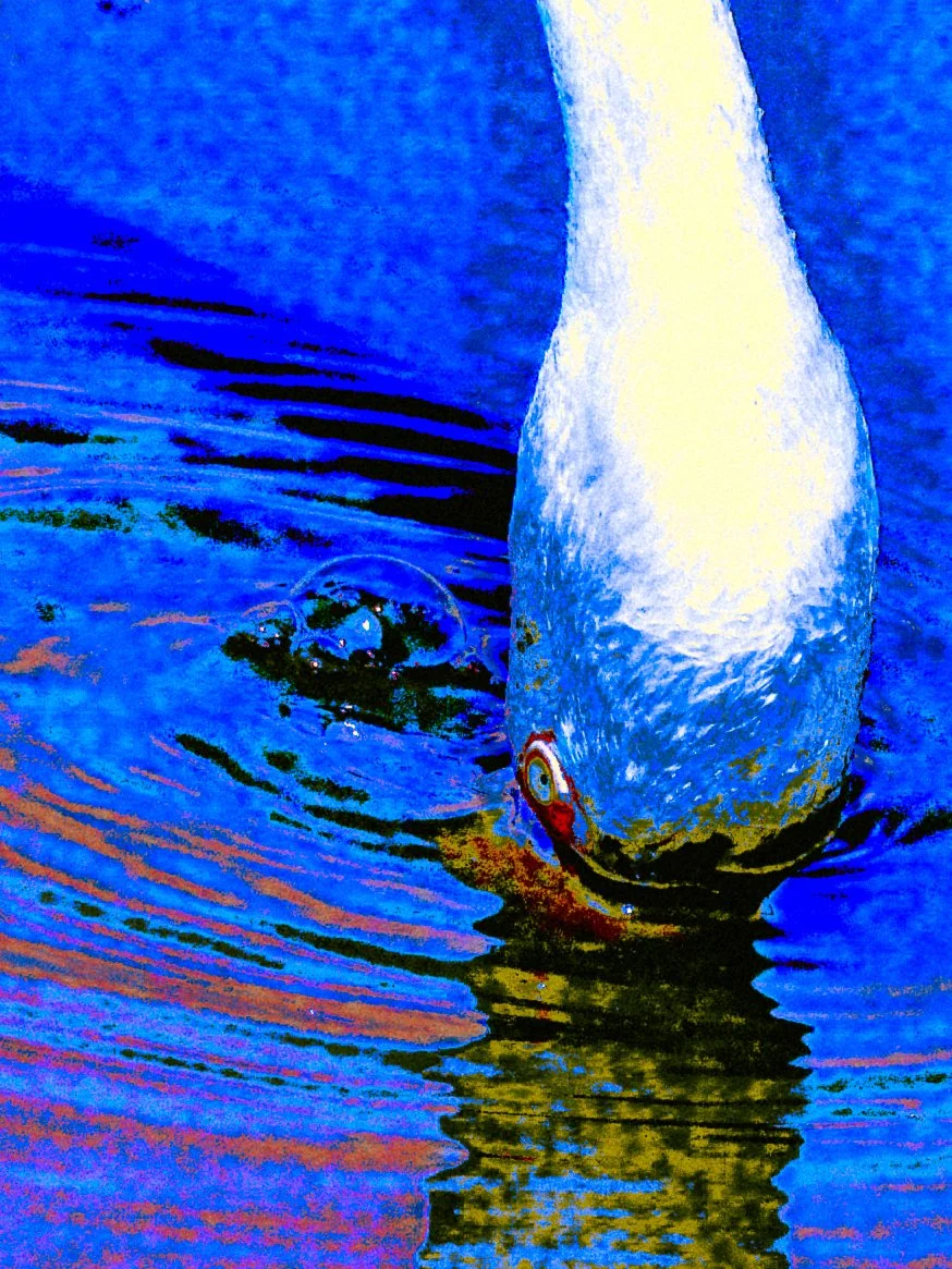 DSCF5169.jpg