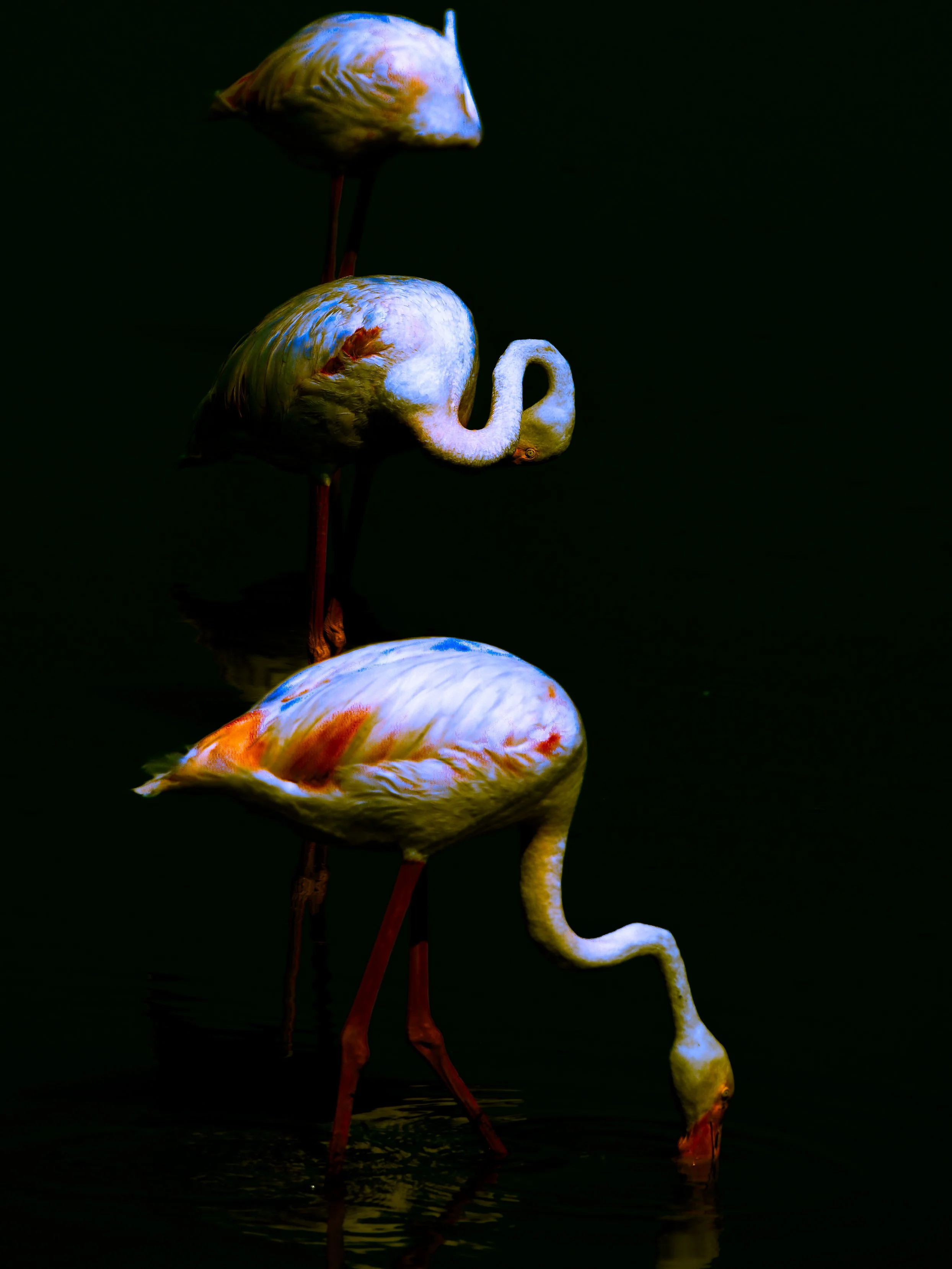 DSCF5153.jpg