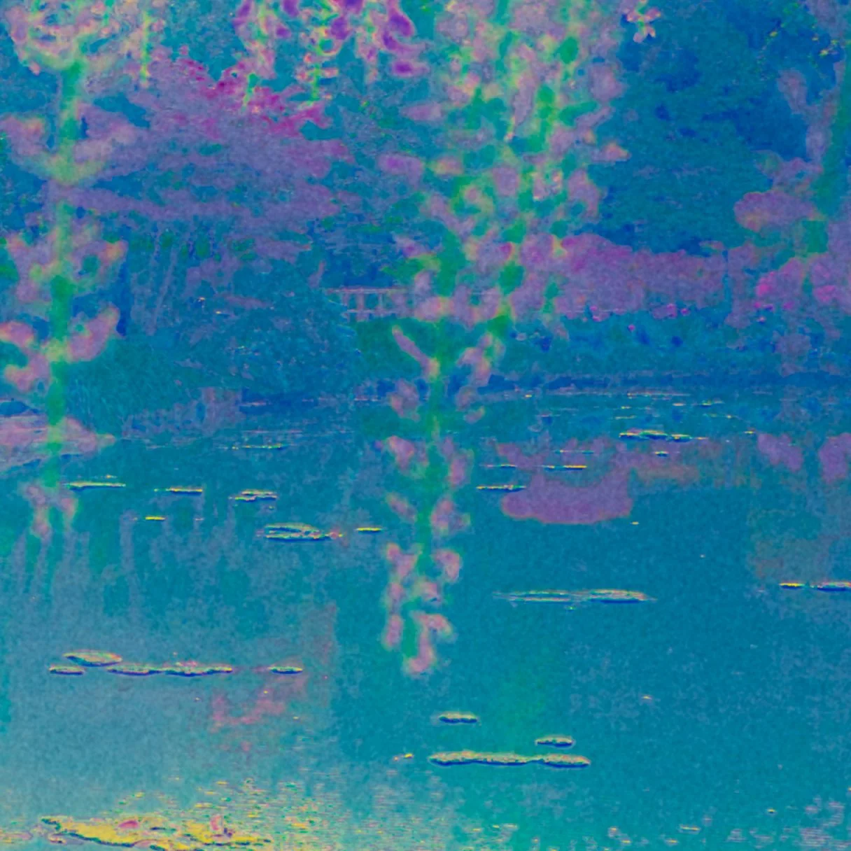 DSCF2400.jpg