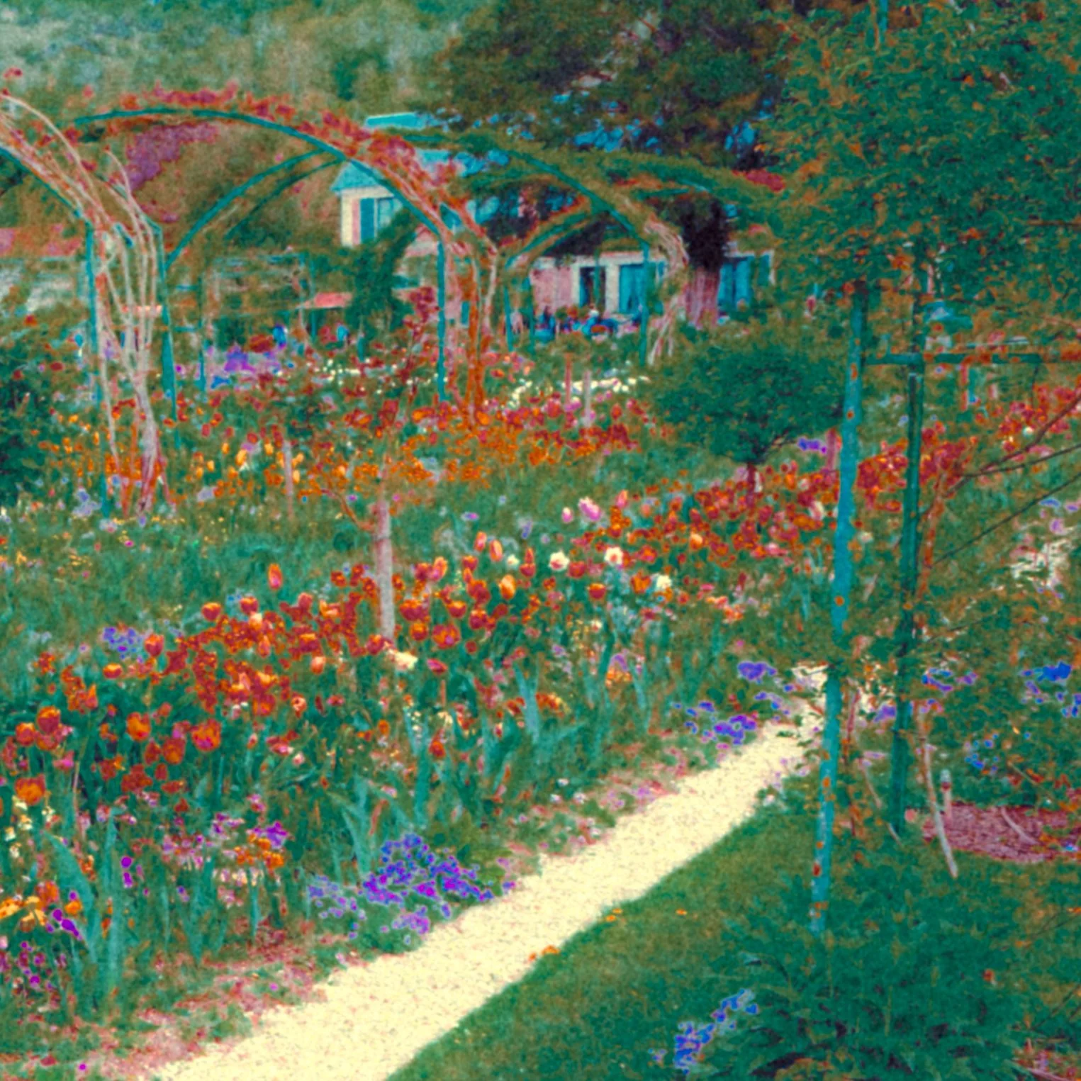 DSCF3263.jpg