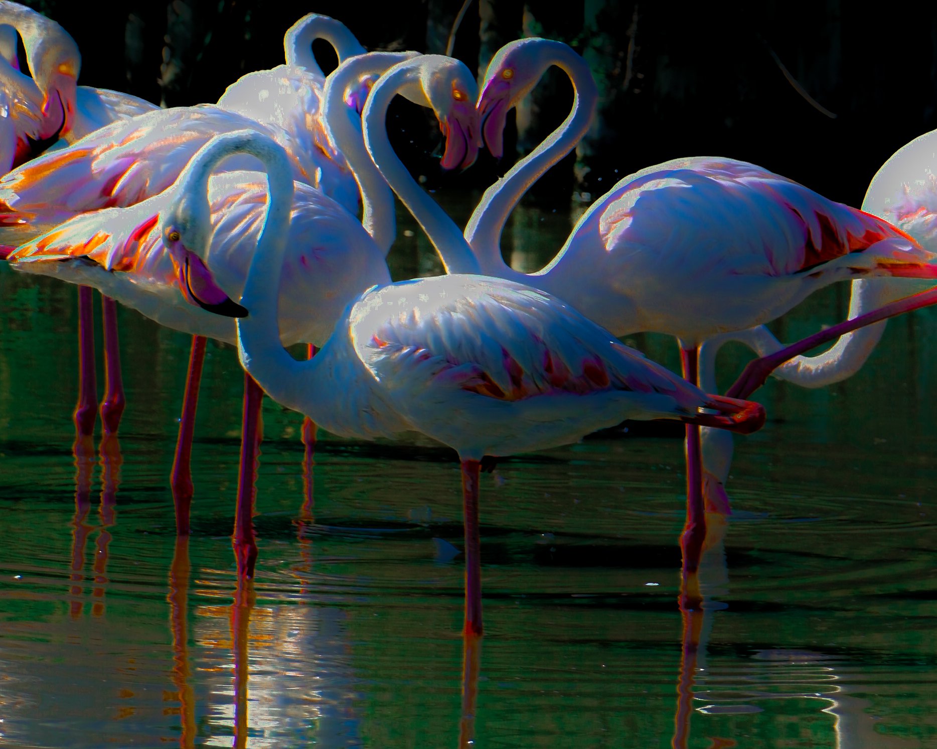 DSCF5049.jpg