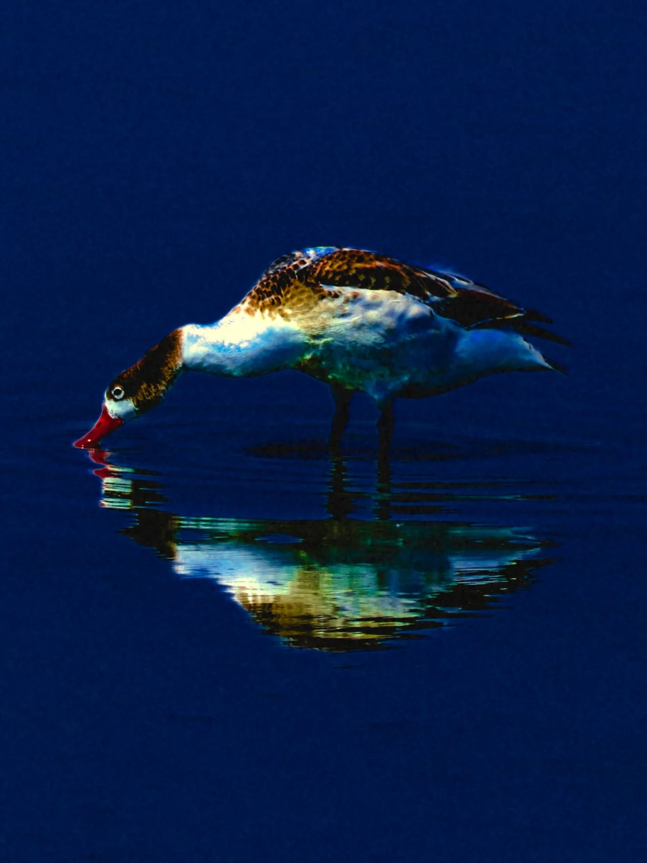 DSCF5253.jpg