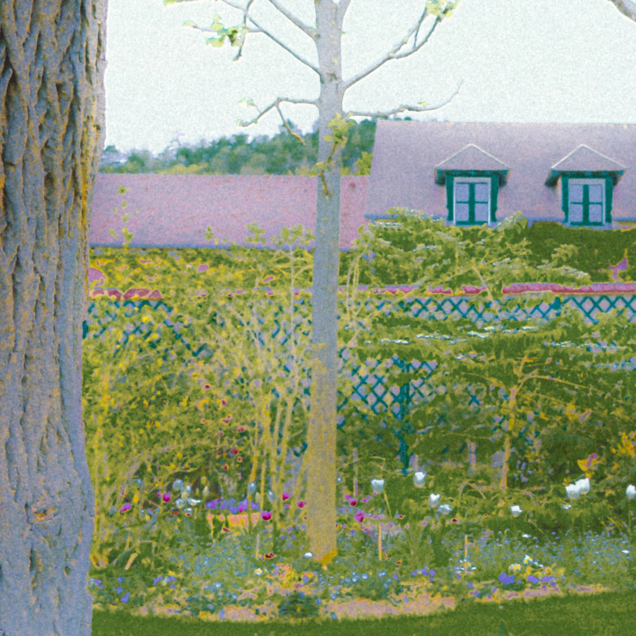 DSCF3249.jpg