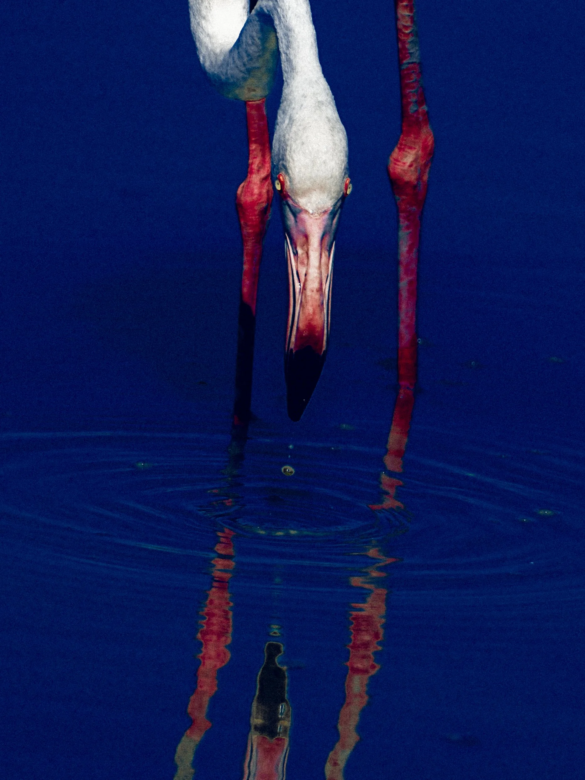 DSCF5109.jpg