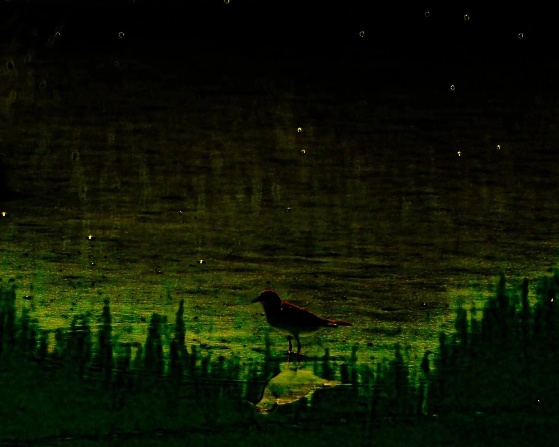 DSCF5090.jpg