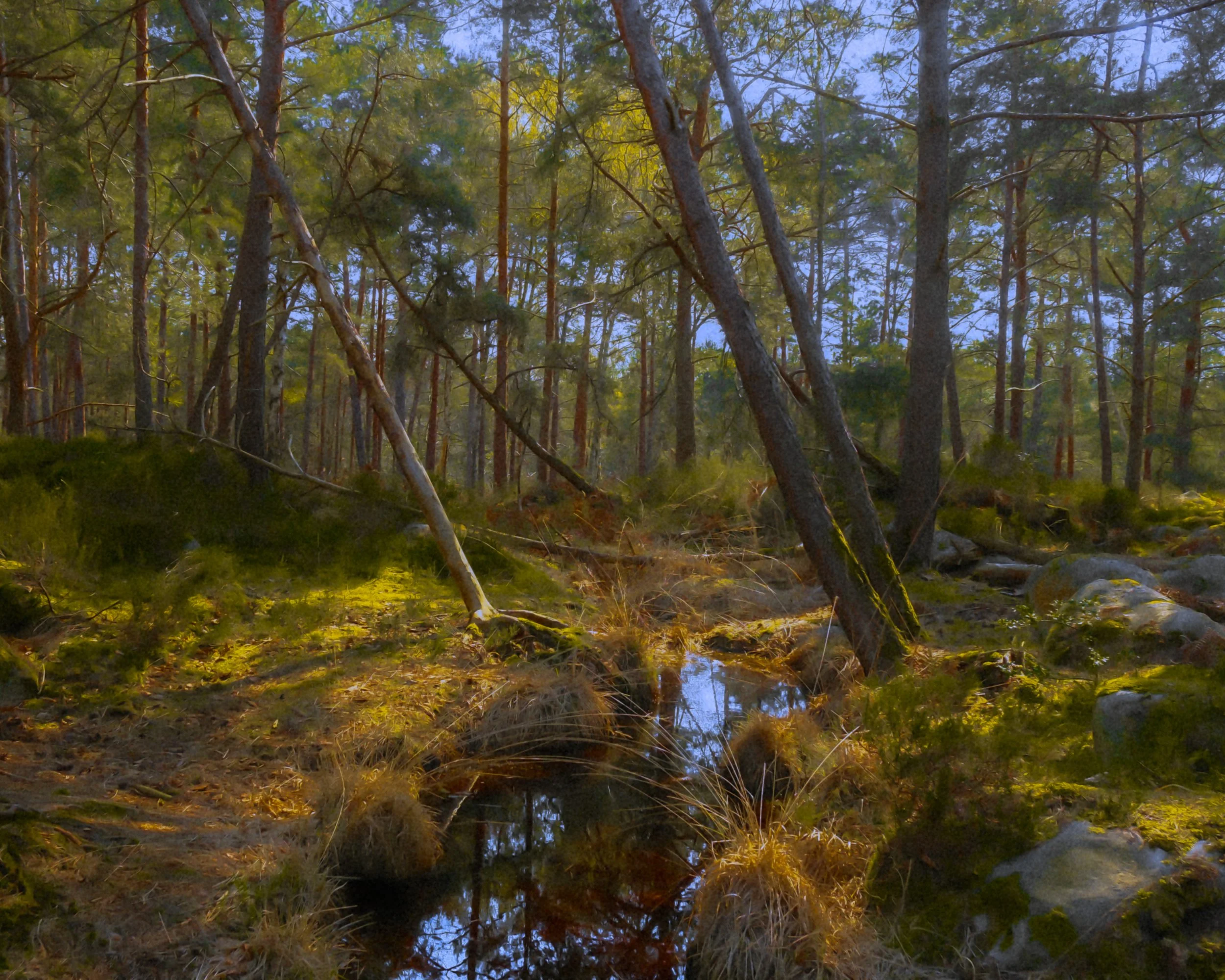 DSCF2117.jpg