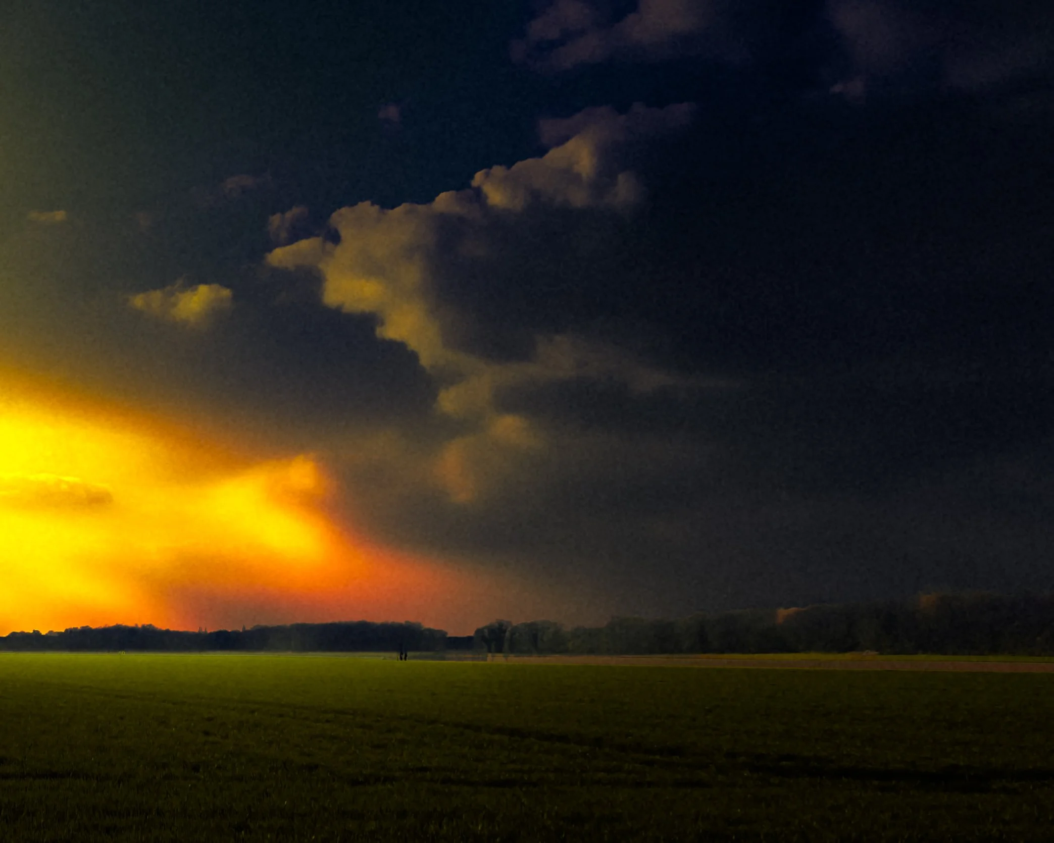 DSCF2051.jpg