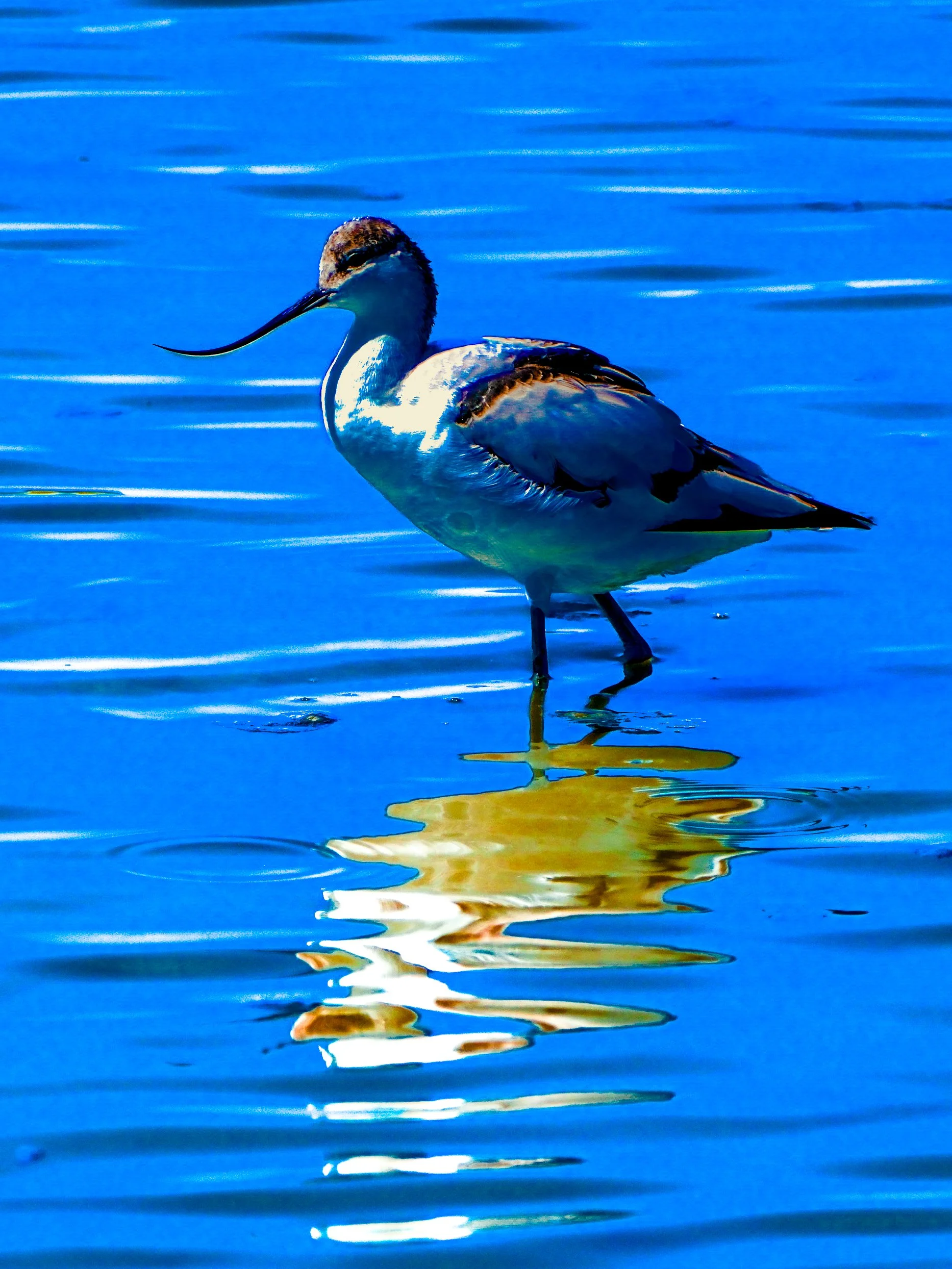 DSCF5200.jpg