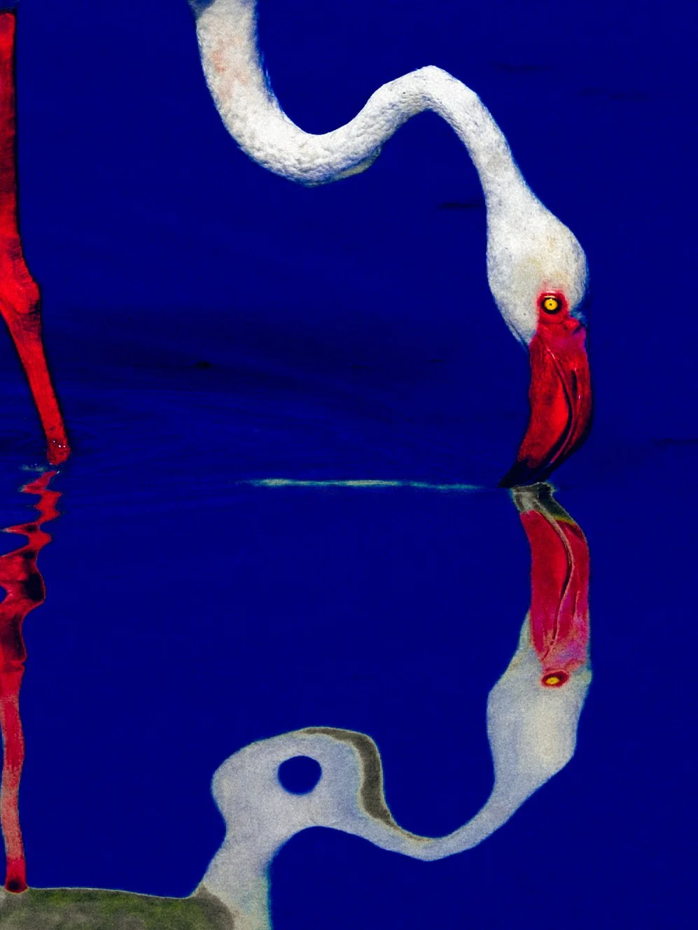 DSCF5125-2.jpg