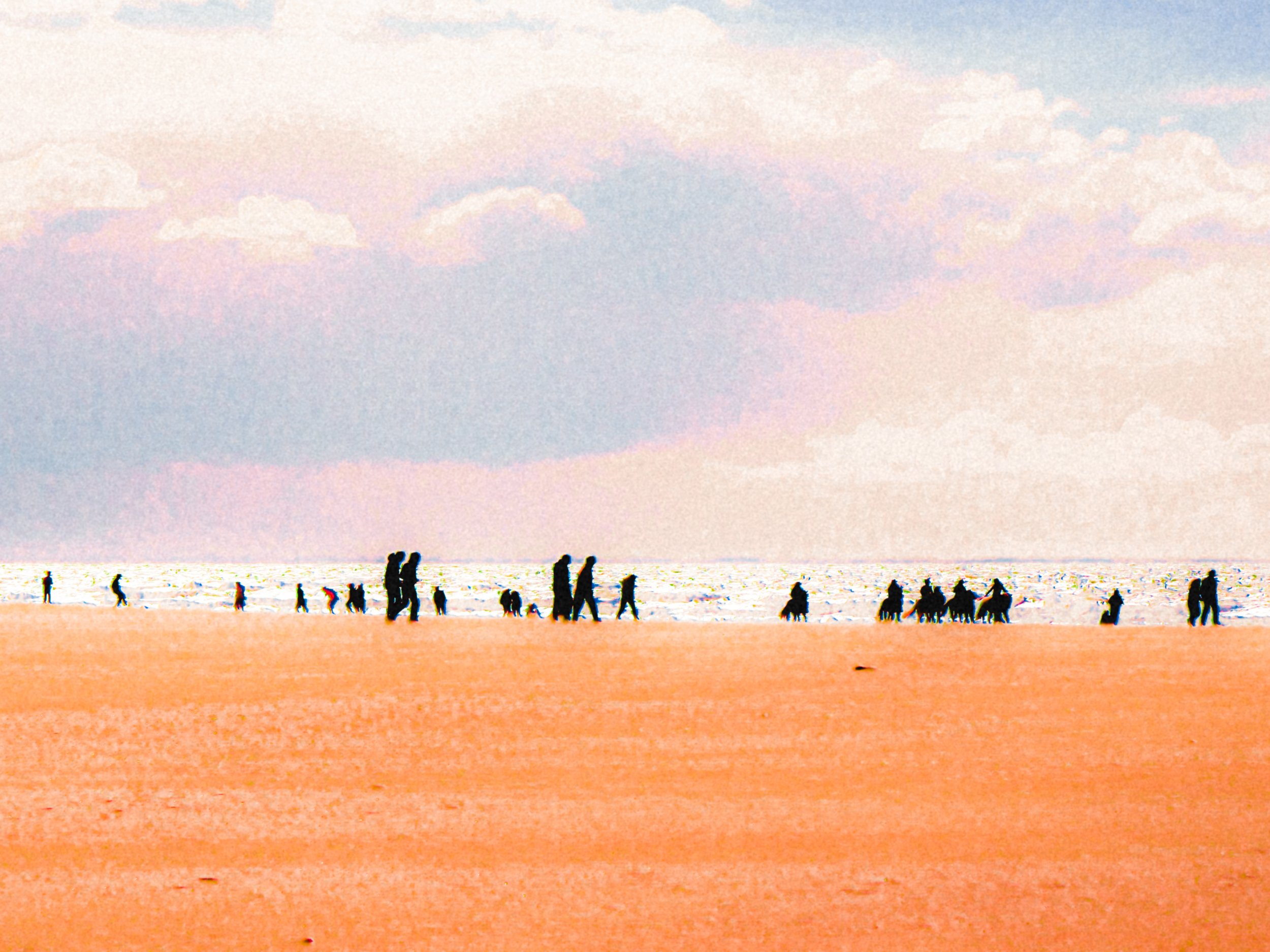 DSCF2654.jpg