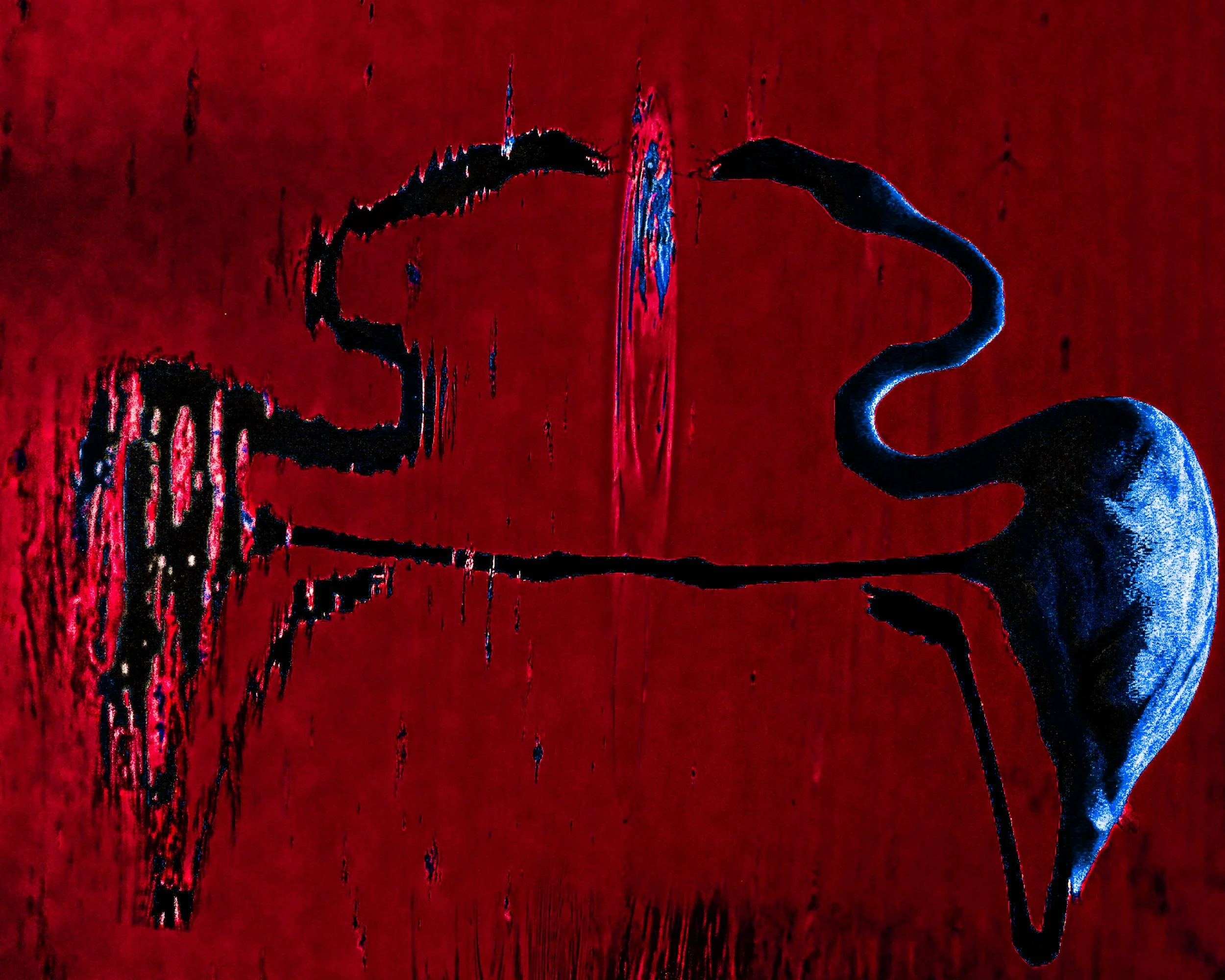 DSCF5023.jpg