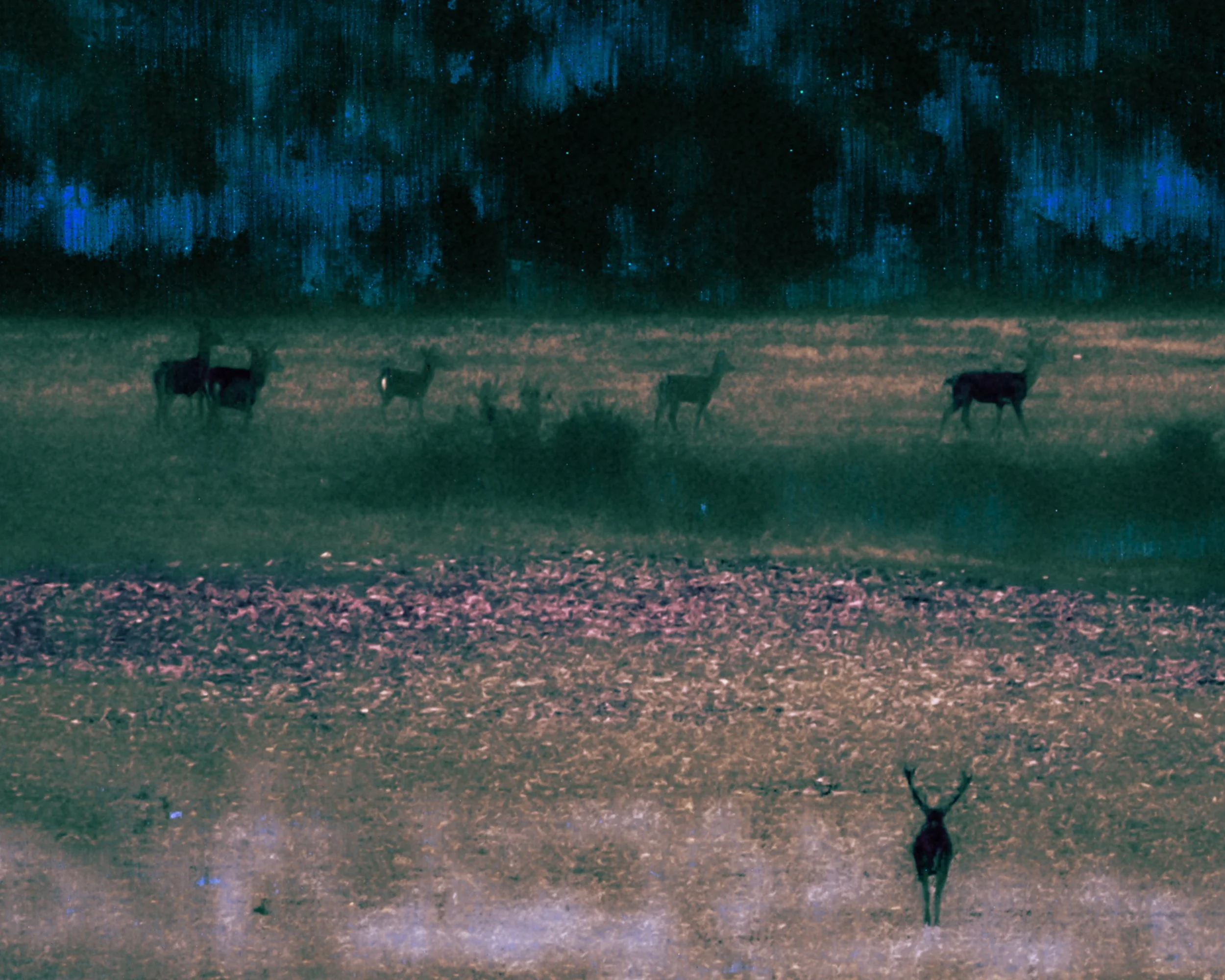 DSCF6388.jpg