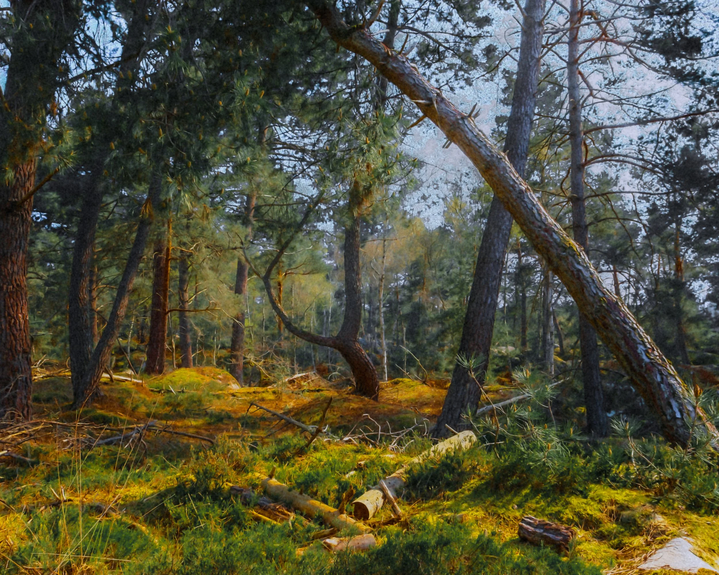 DSCF2124.jpg