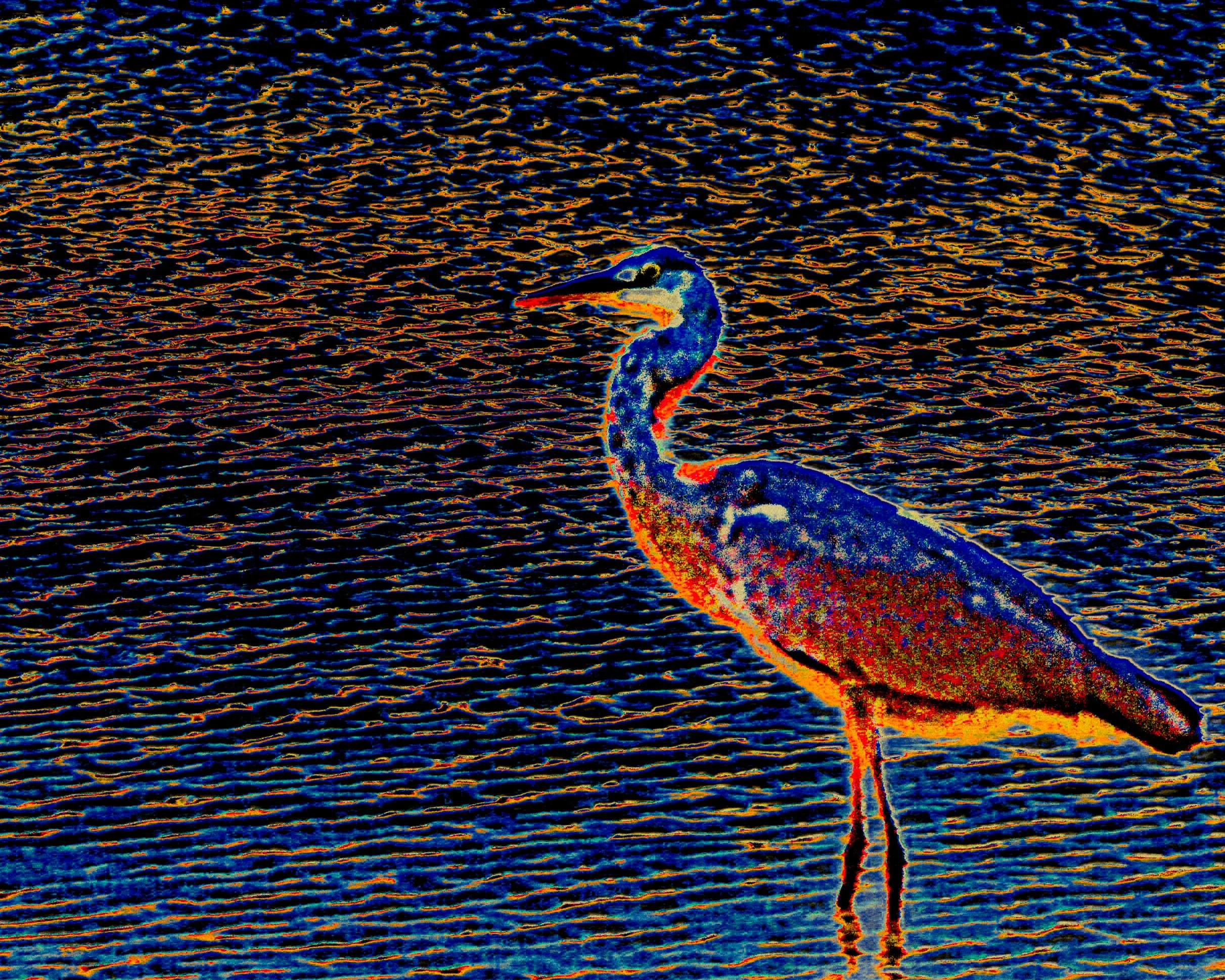 DSCF4900.jpg