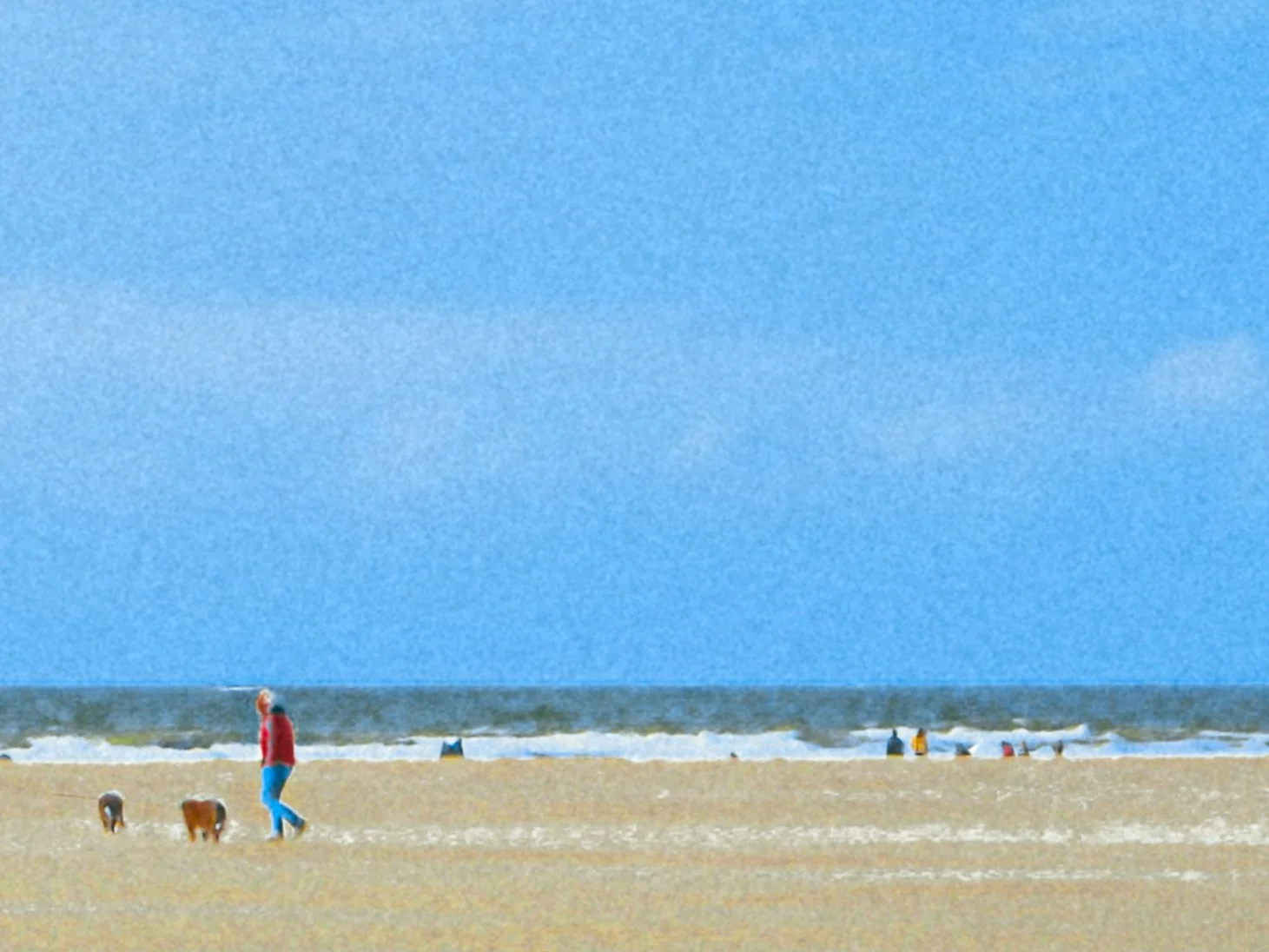 DSCF2653.jpg