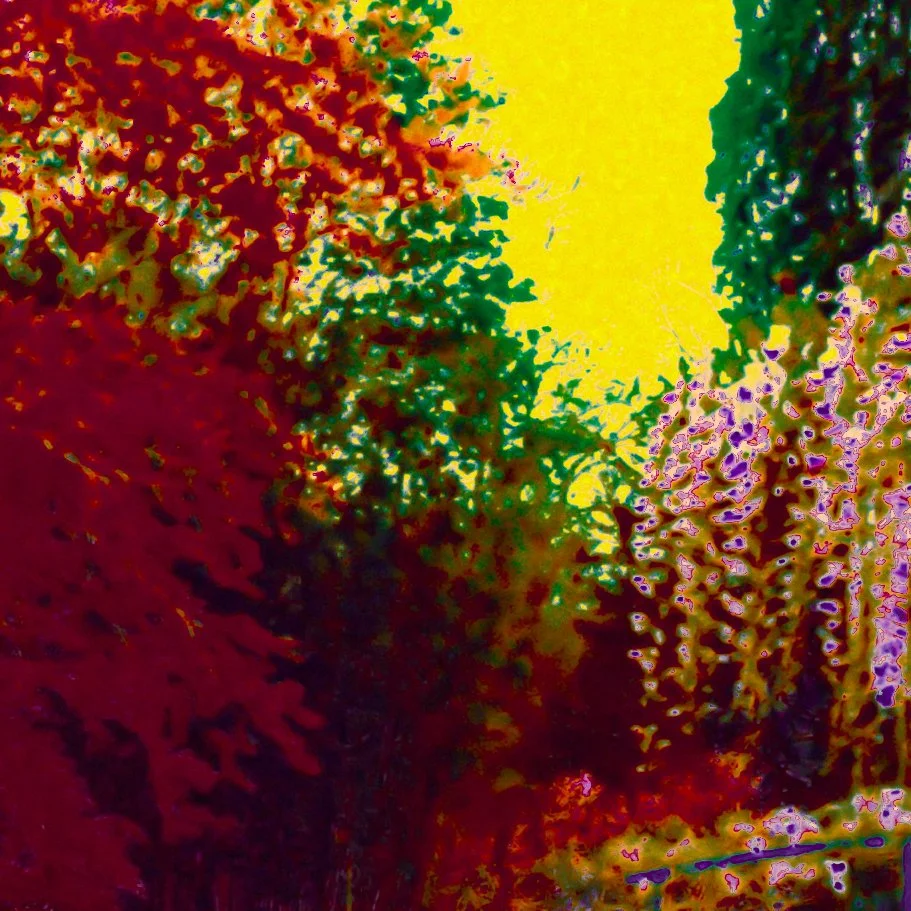 DSCF3259.jpg