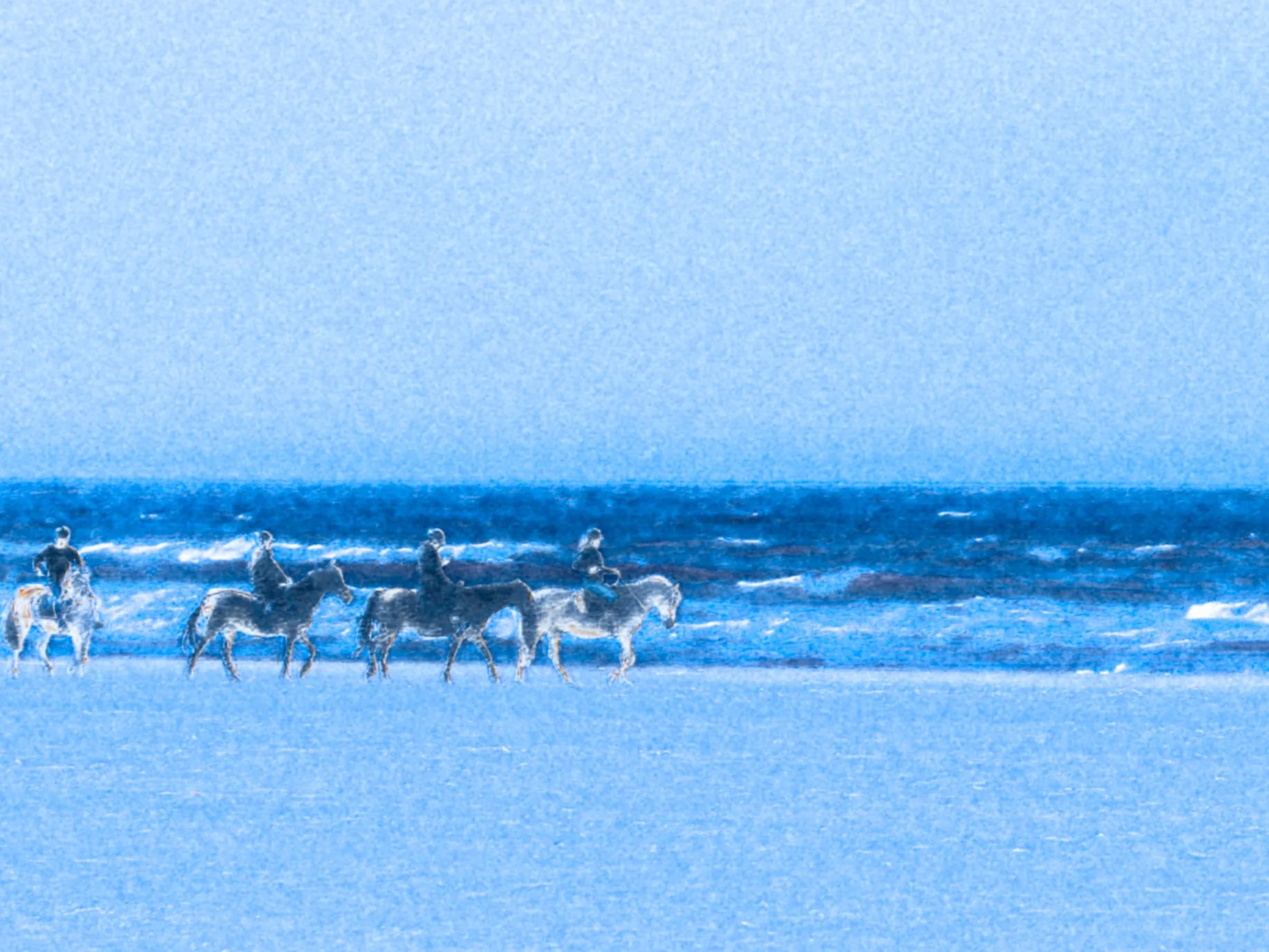 DSCF2658.jpg