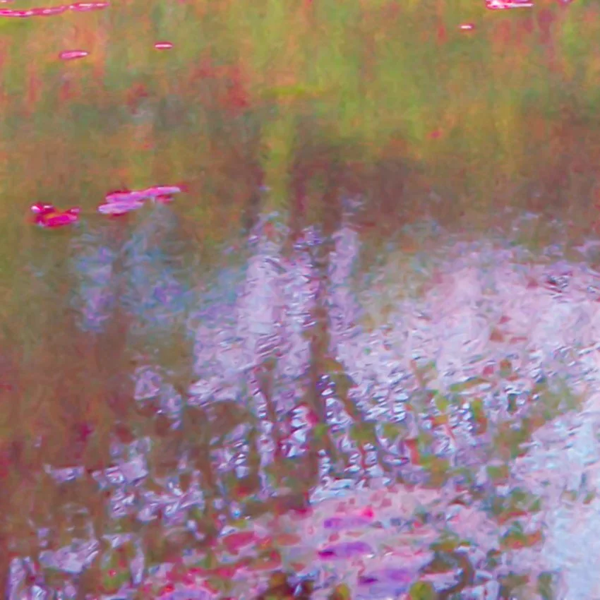 DSCF2389.jpg