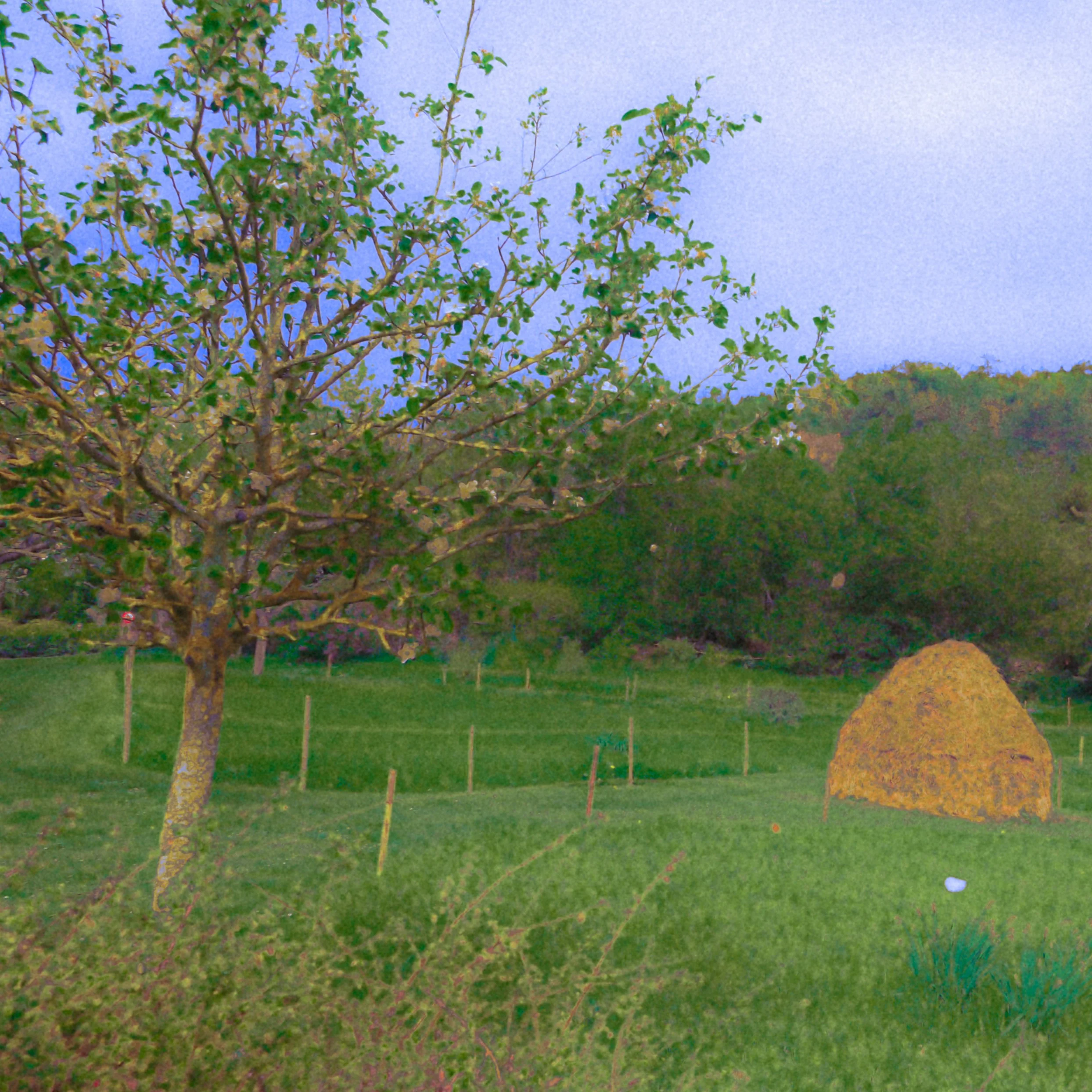 DSCF2342.jpg