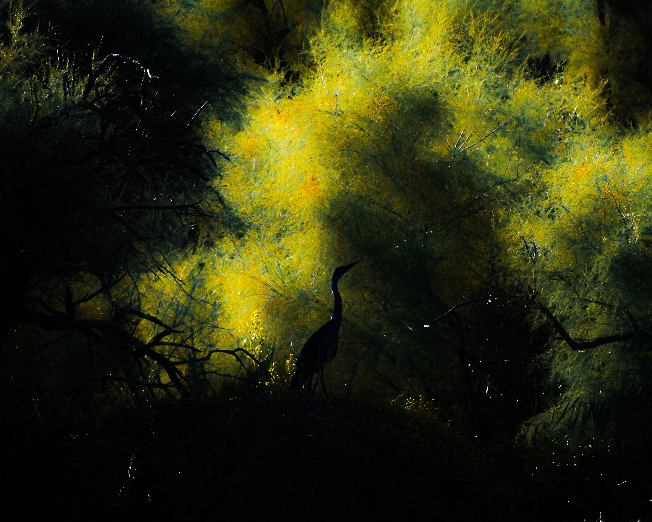 DSCF4835.jpg